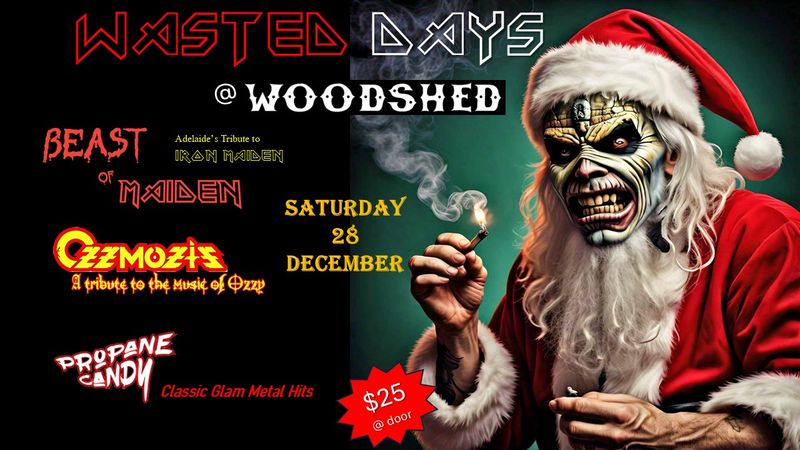 20241228 Waysted Days