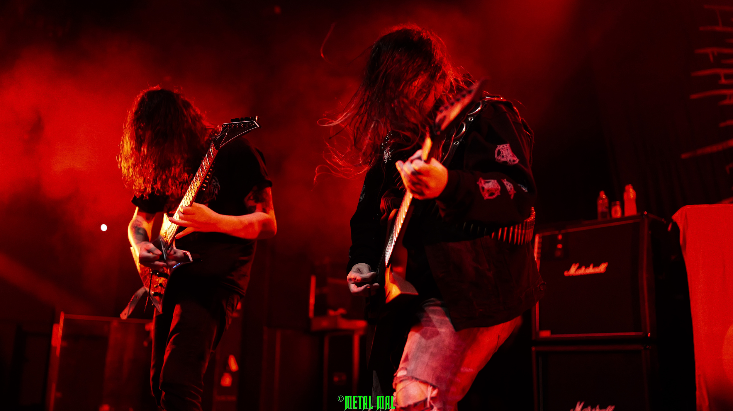20250123 03 Cavalera 15