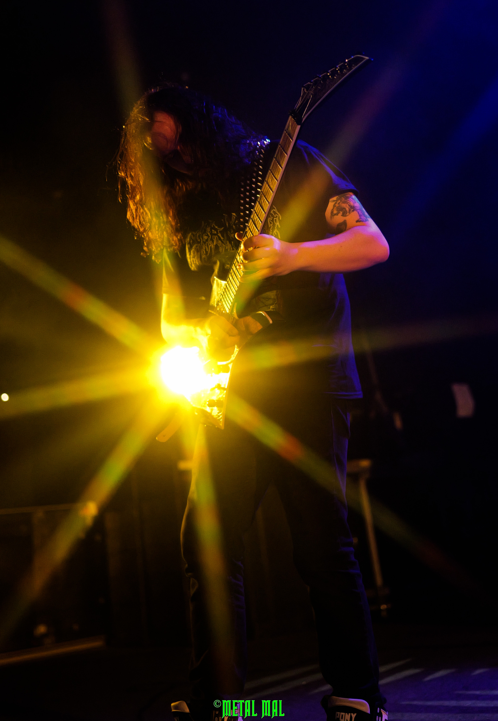 20250123 03 Cavalera 42