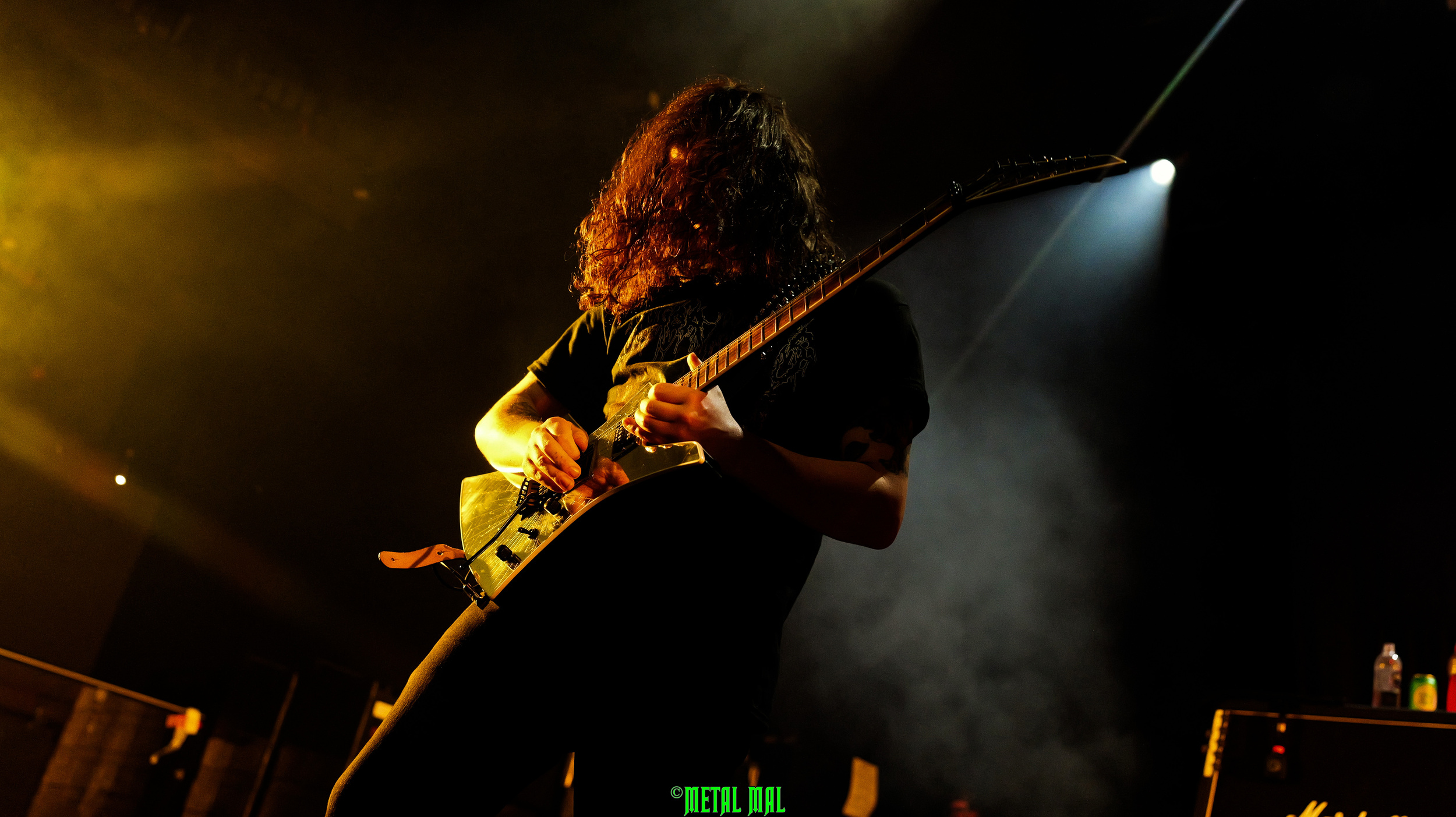 20250123 03 Cavalera 48