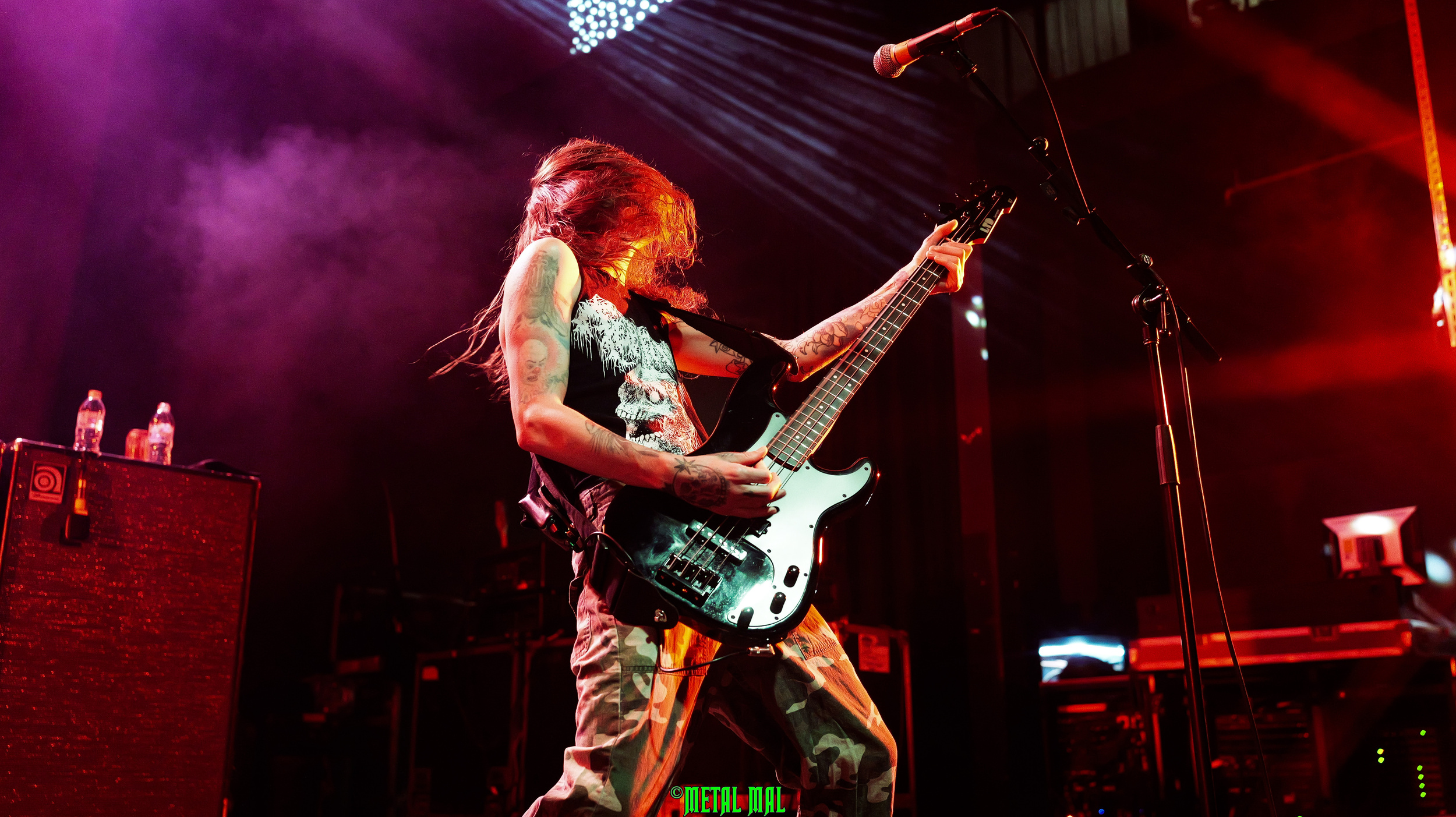 20250123 03 Cavalera 59