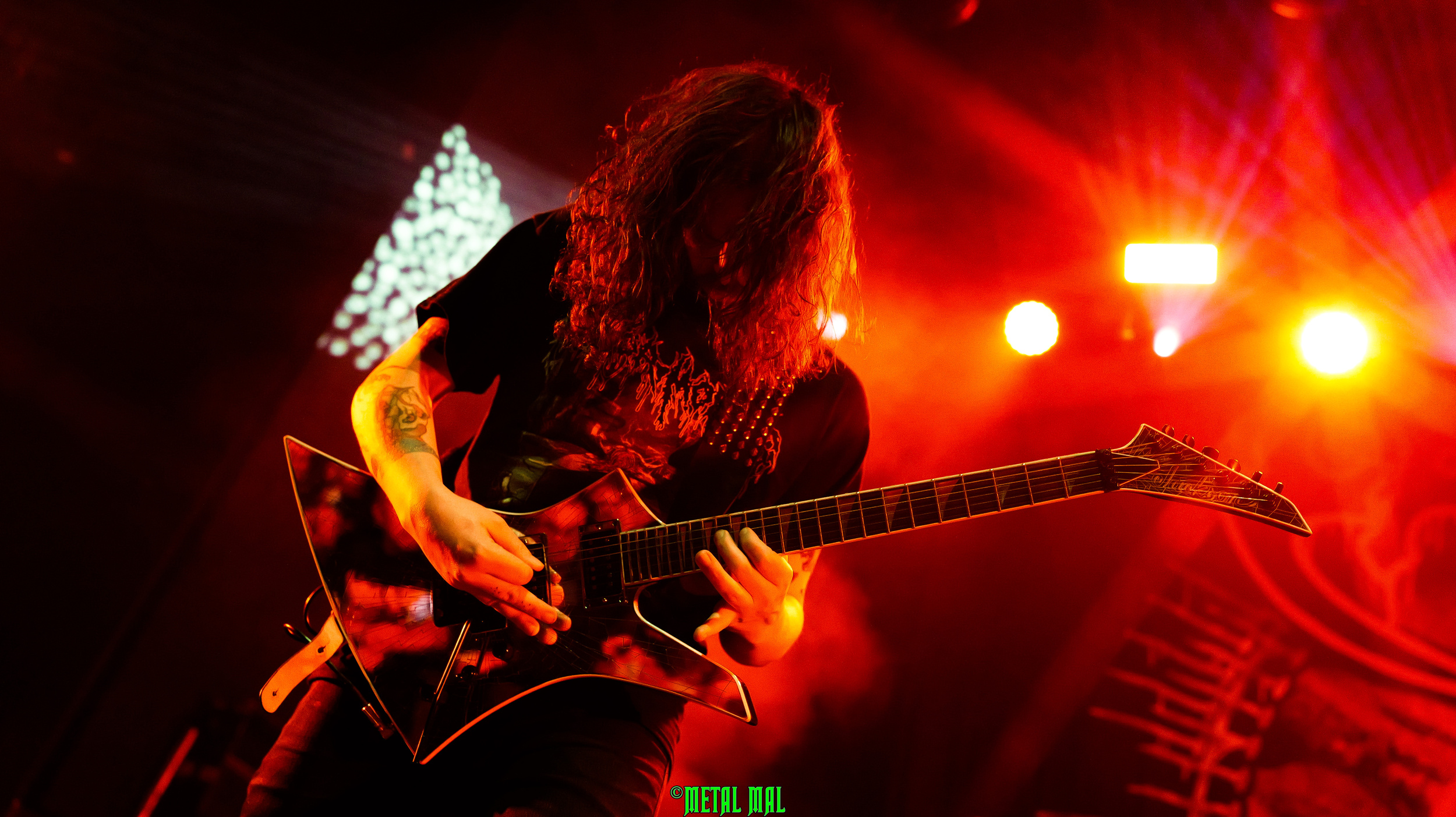 20250123 03 Cavalera 61