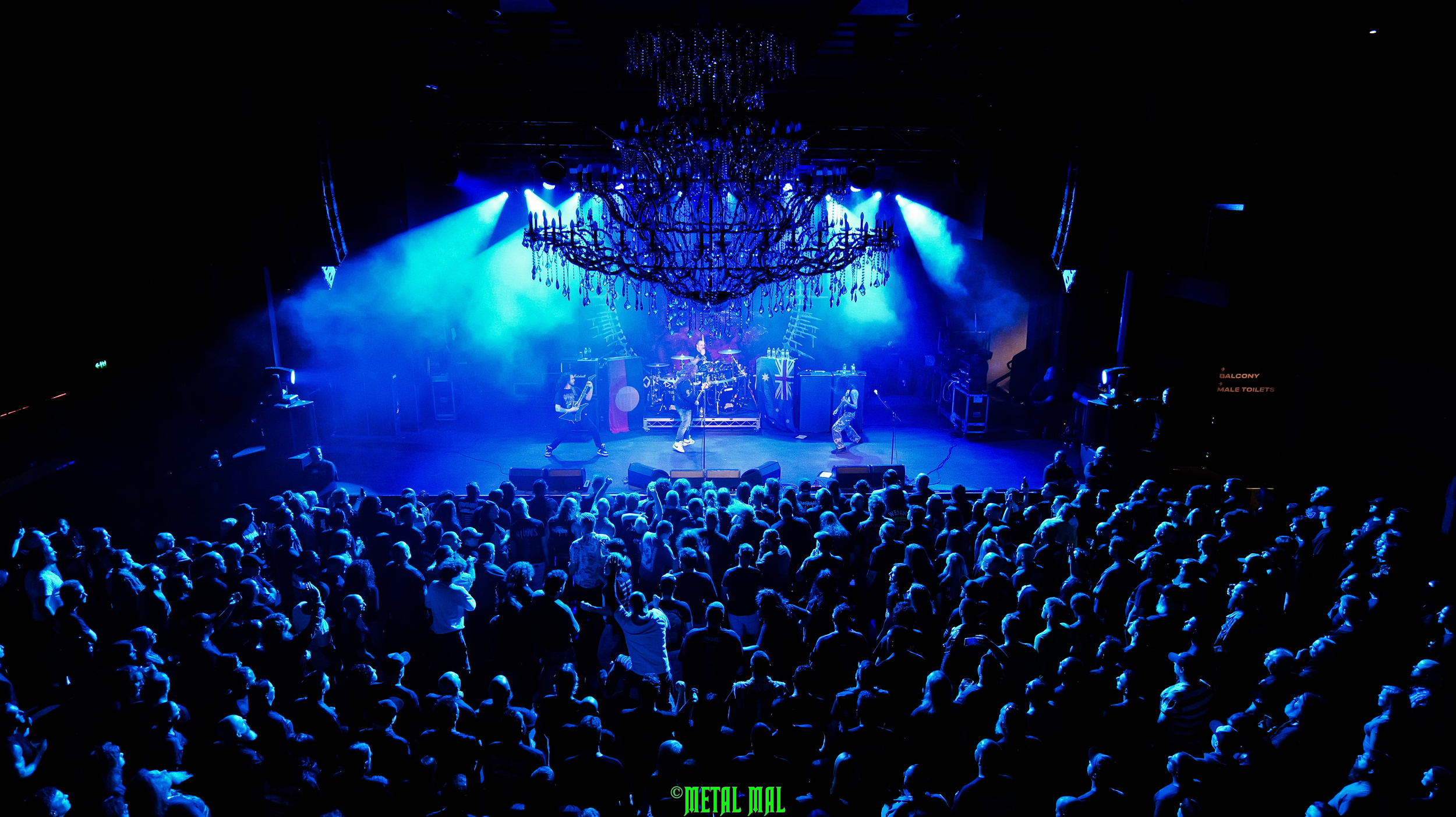 20250123 03 Cavalera 64