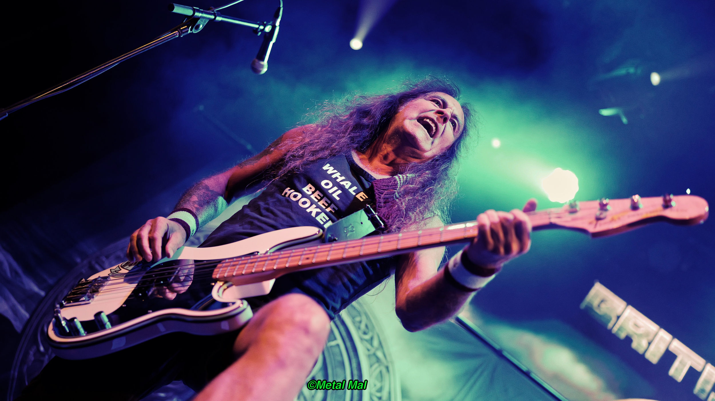 20240903 02 British Lion 18