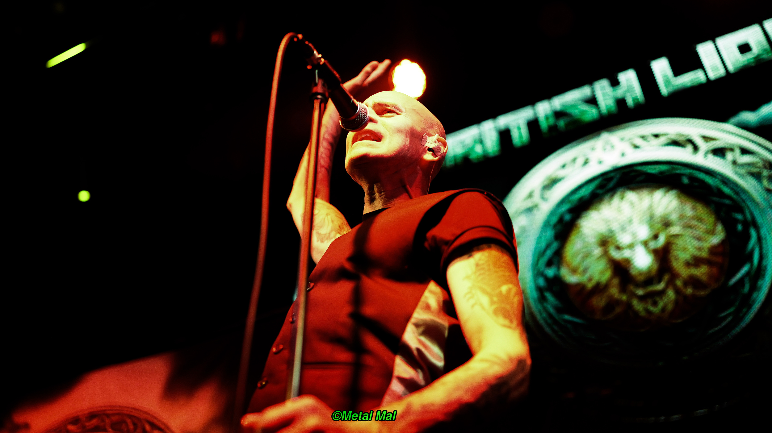 20240903 02 British Lion 48