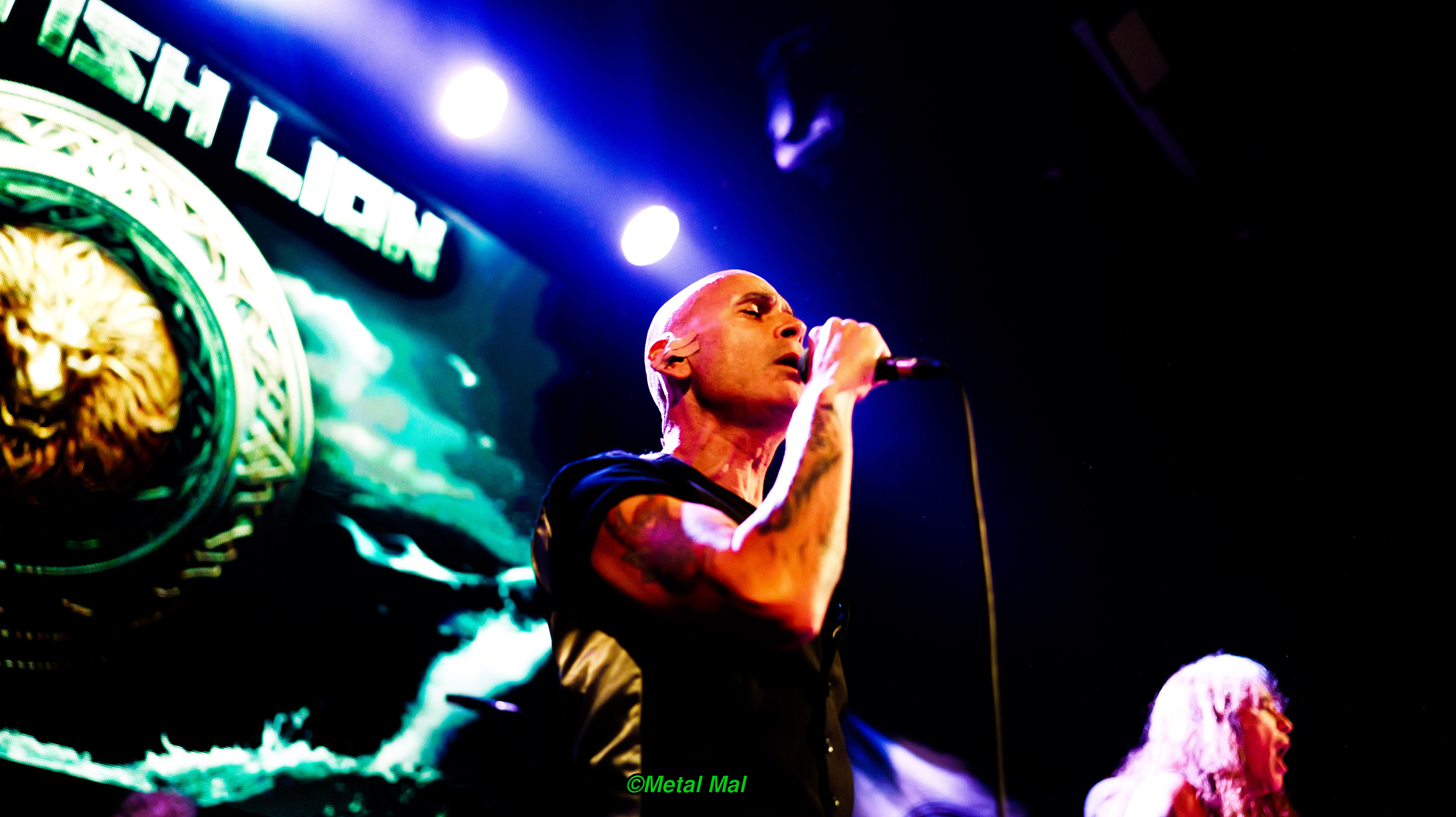 20240903 02 British Lion 49