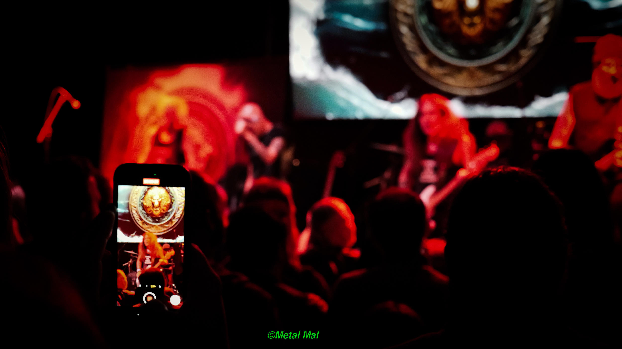 20240903 02 British Lion 64