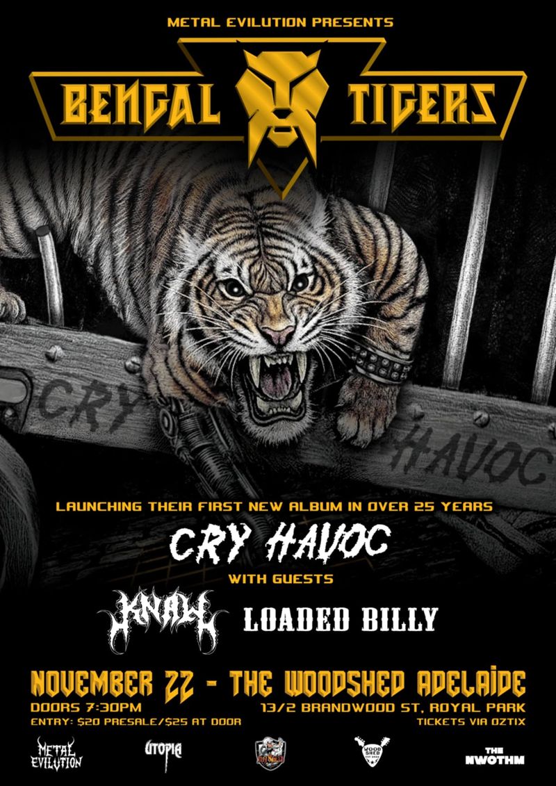 20251122 Bengal Tigers