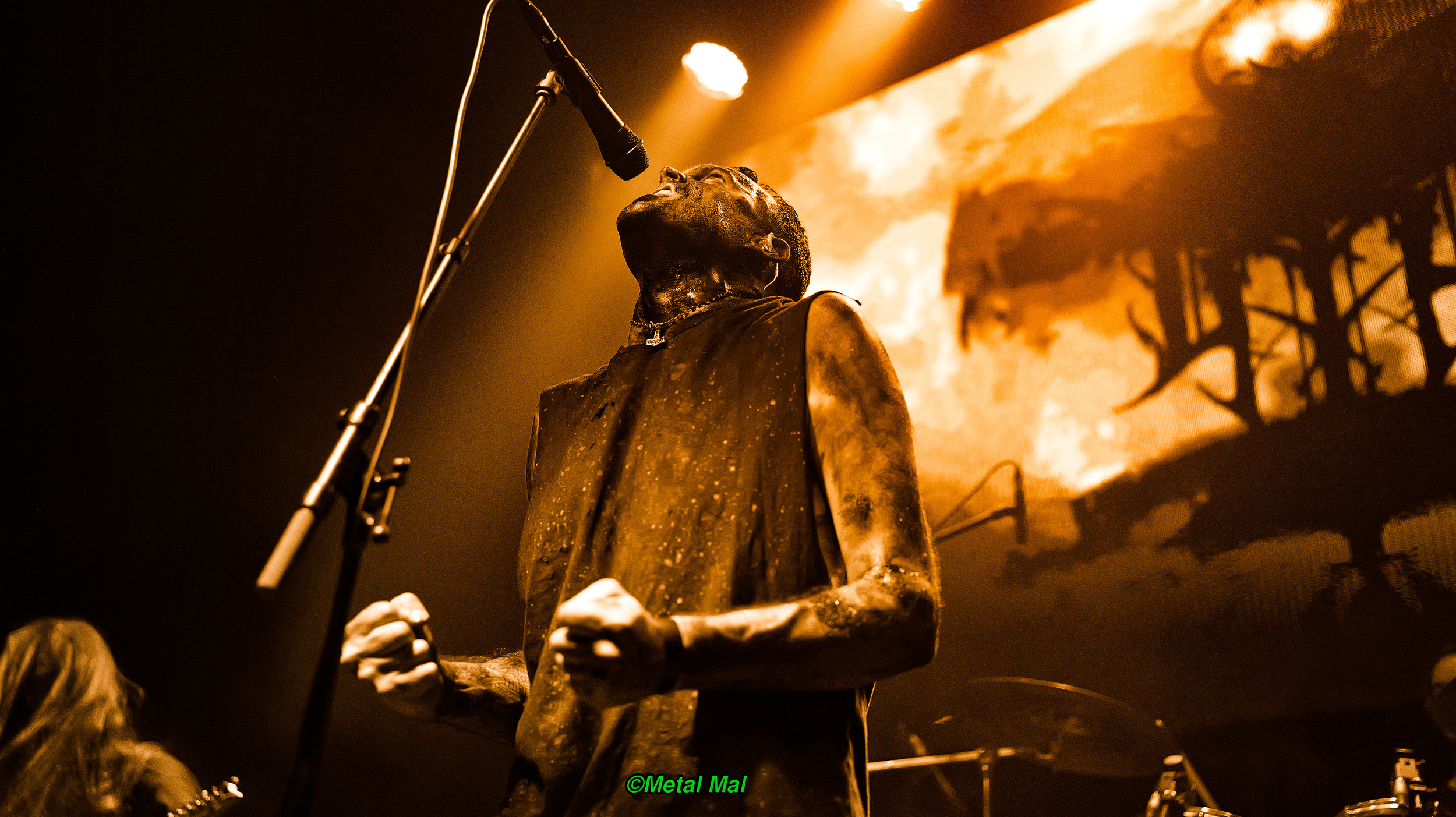 20240127 14 Lumen Ad Mortem 02