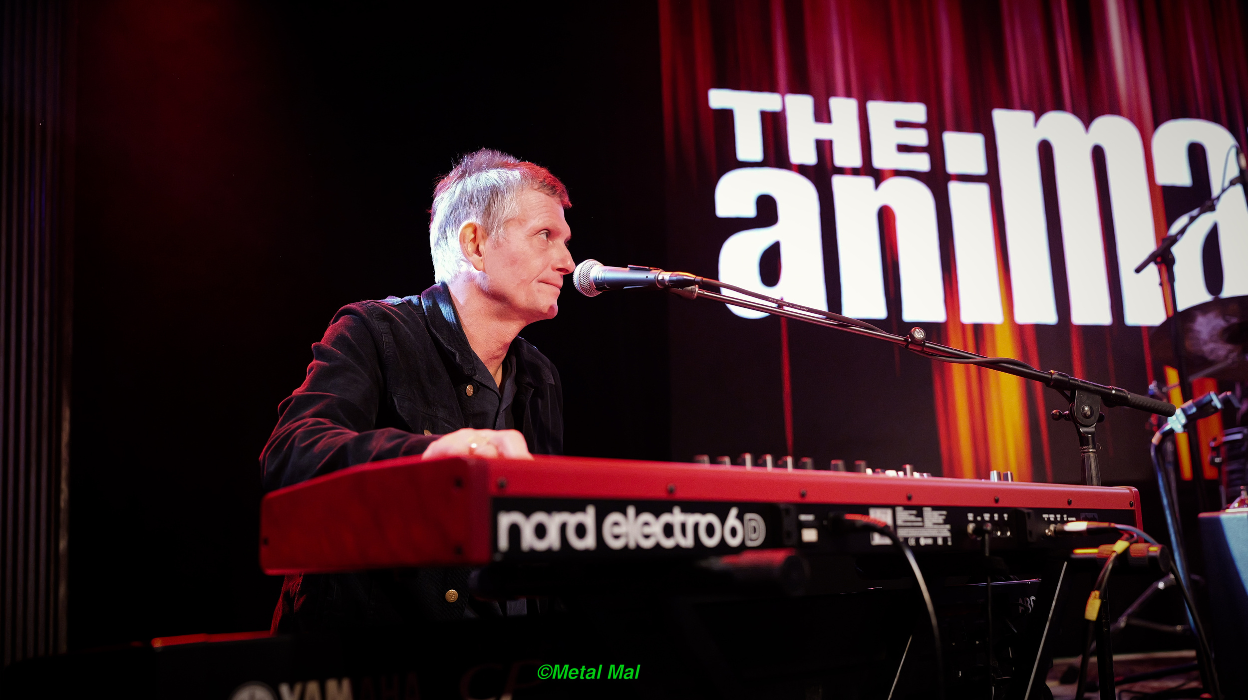 20240528 The Animals 01