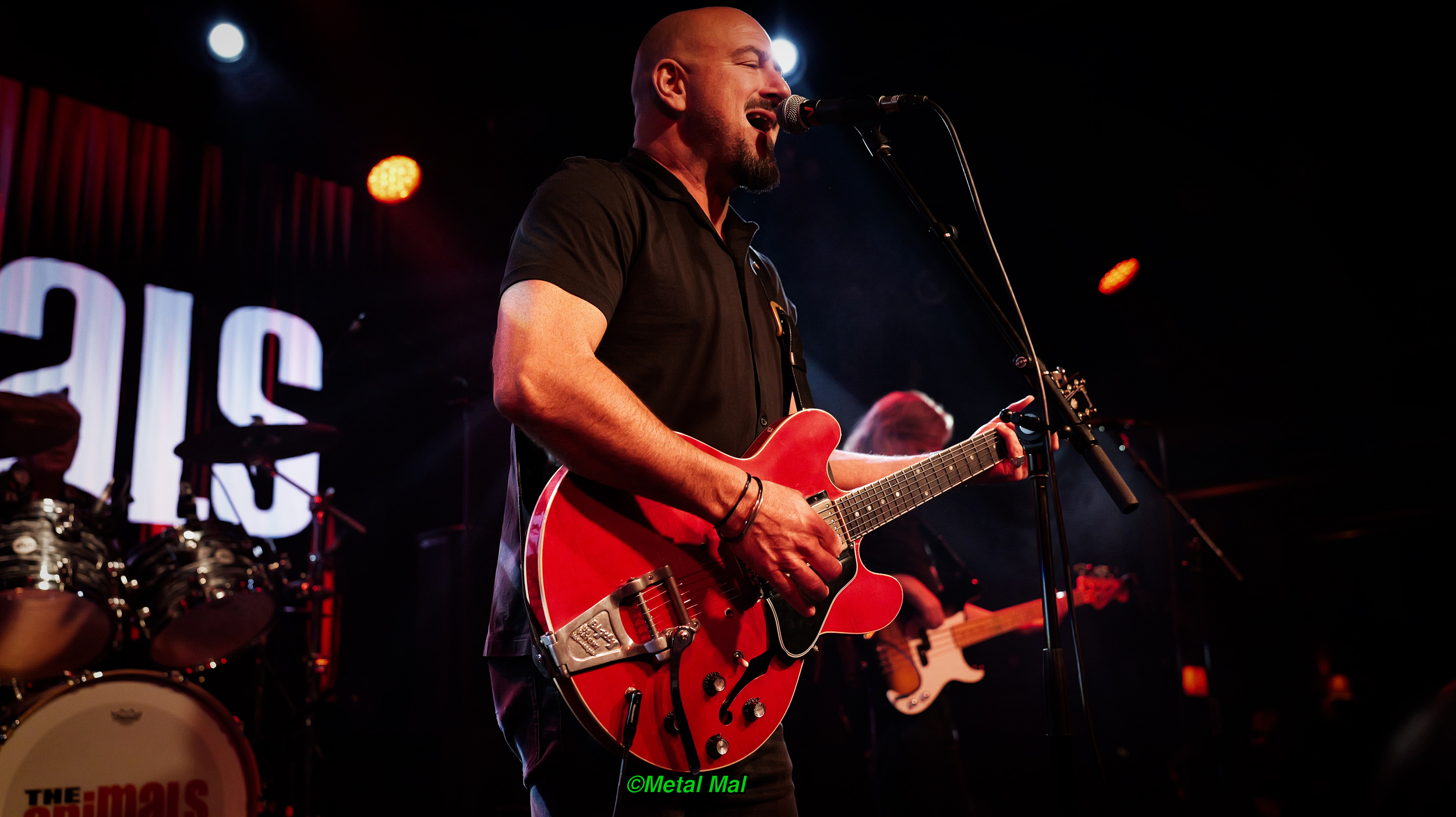 20240528 The Animals 02
