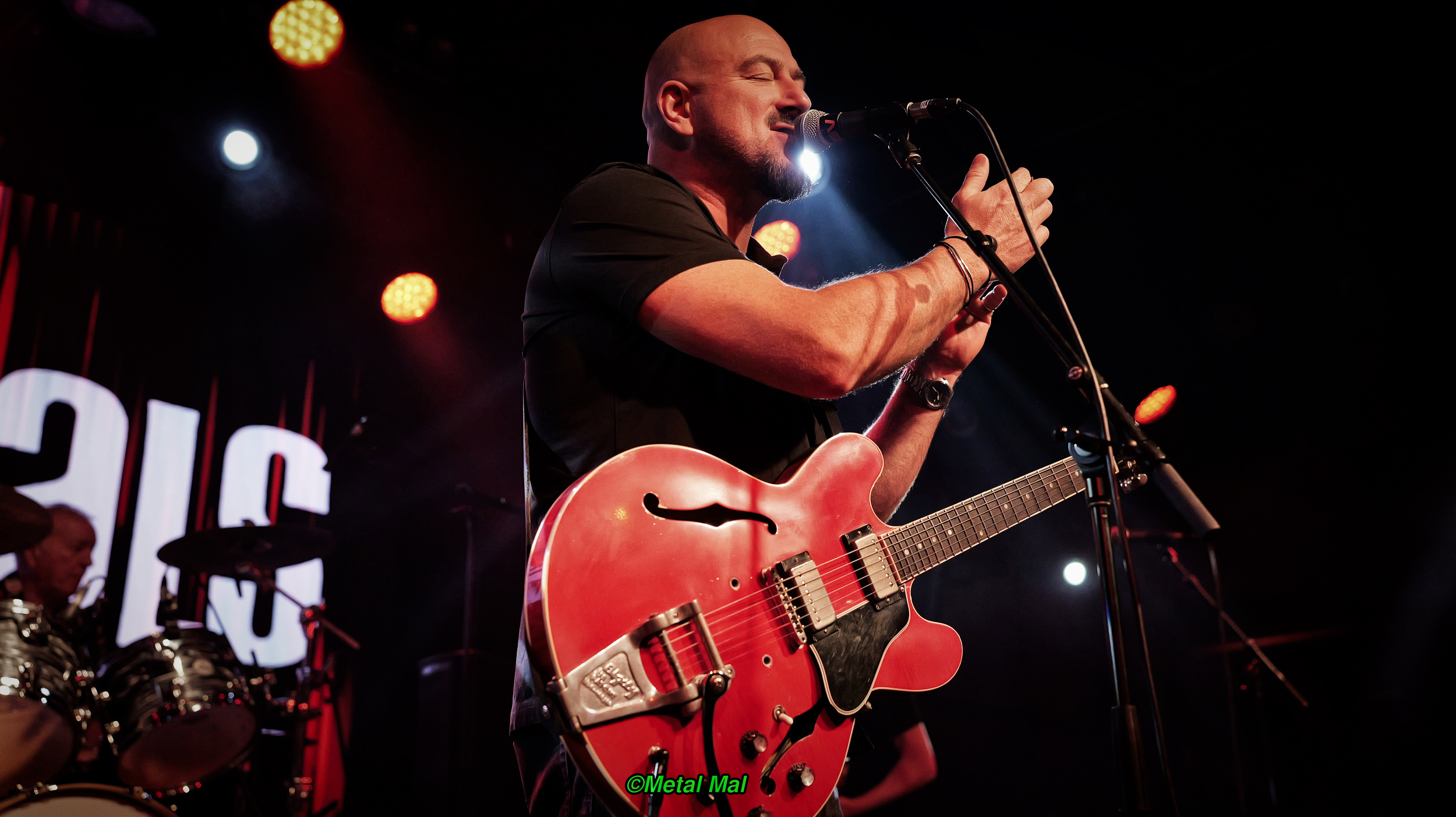 20240528 The Animals 03