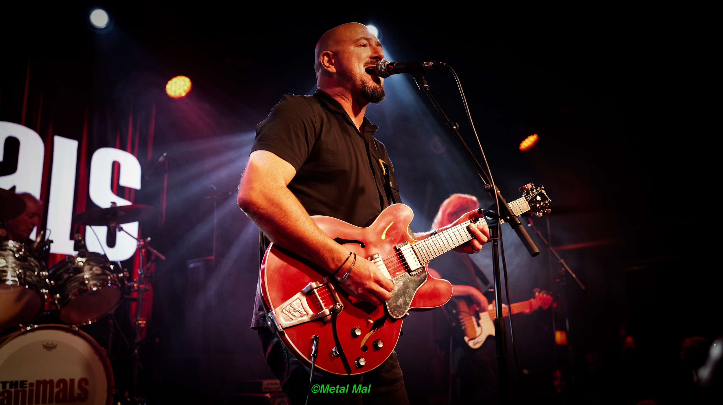 20240528 The Animals 04