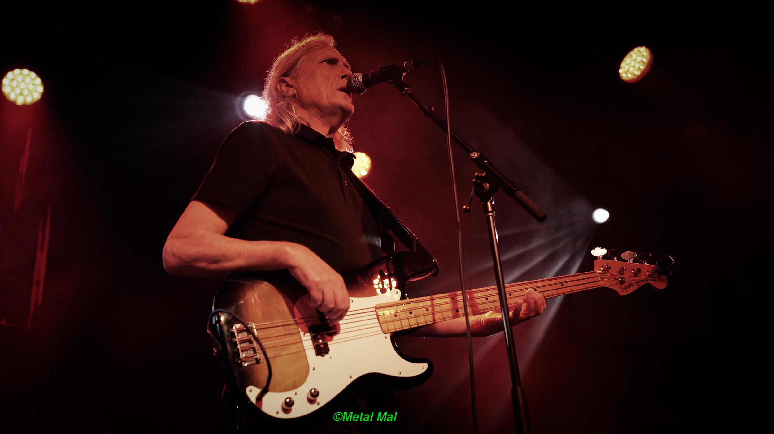 20240528 The Animals 05