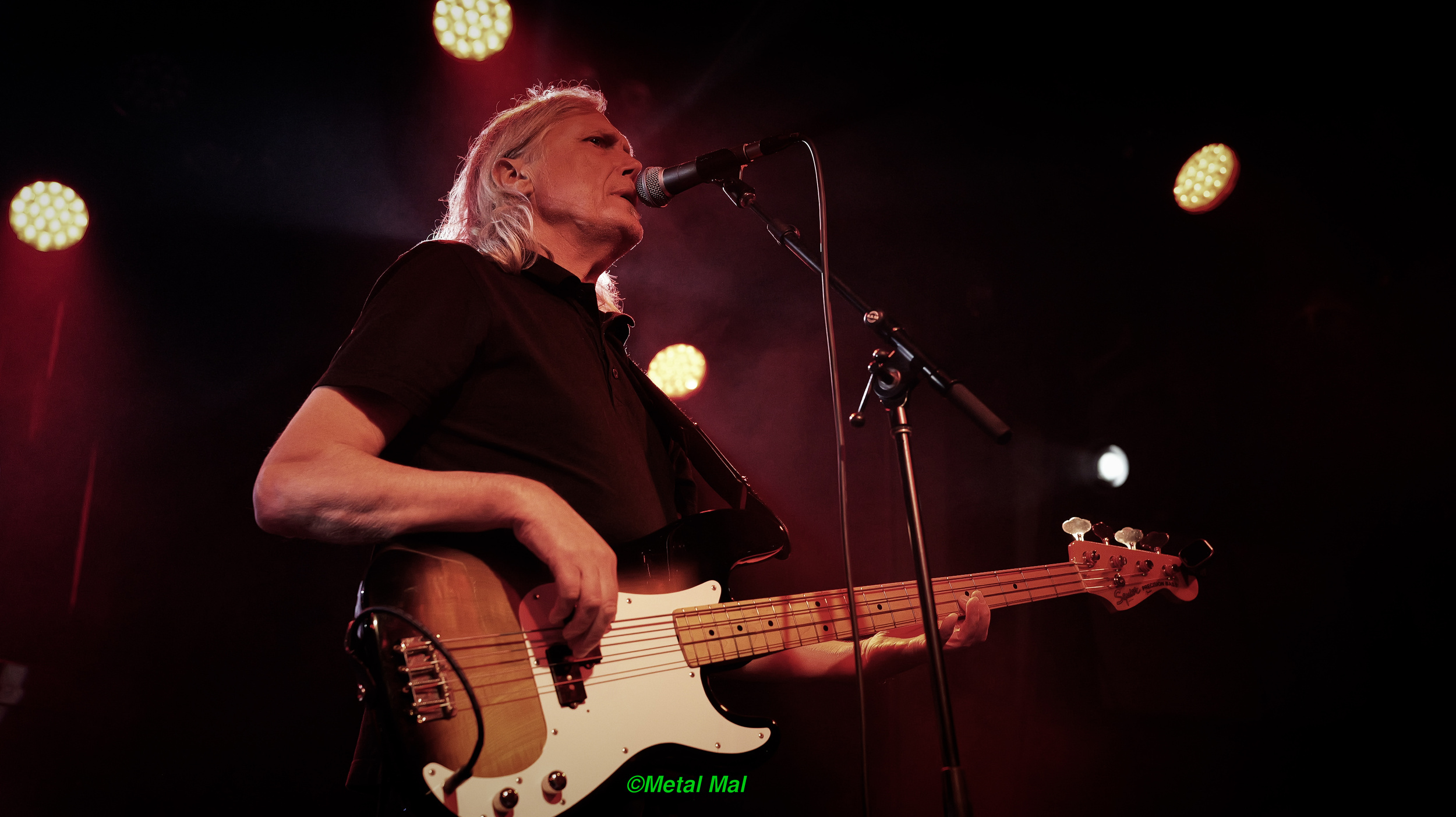 20240528 The Animals 06
