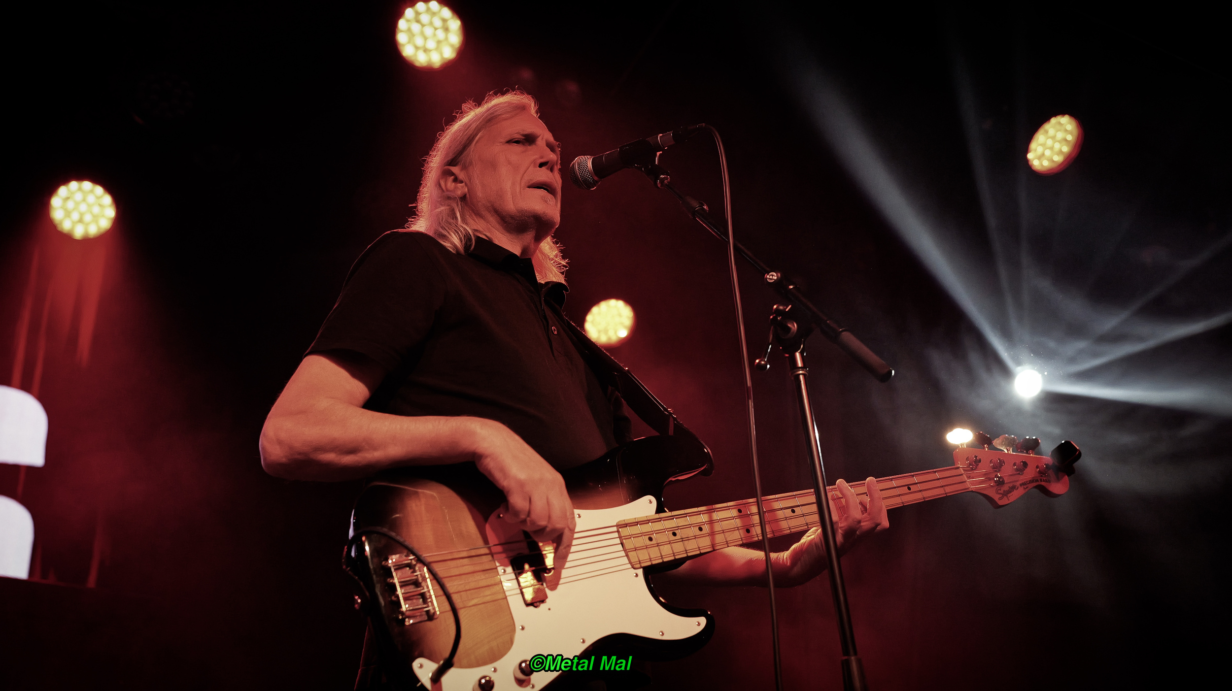 20240528 The Animals 07