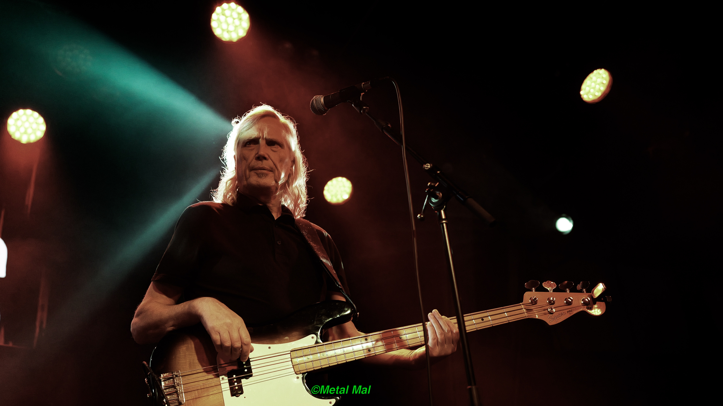 20240528 The Animals 08