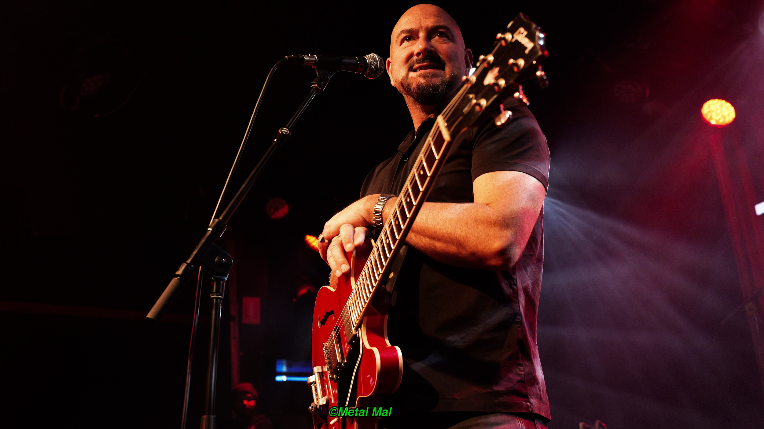 20240528 The Animals 09