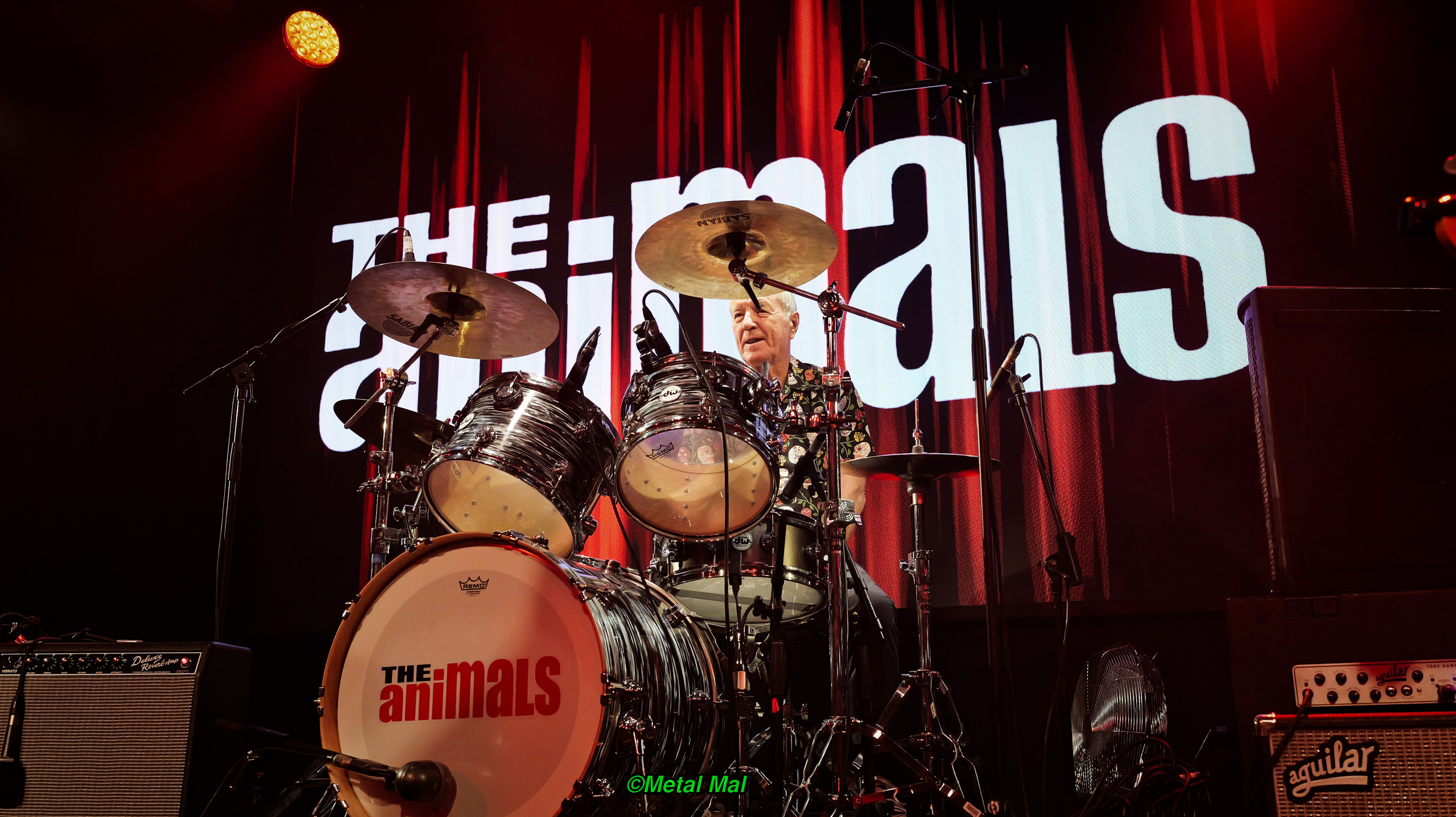 20240528 The Animals 11