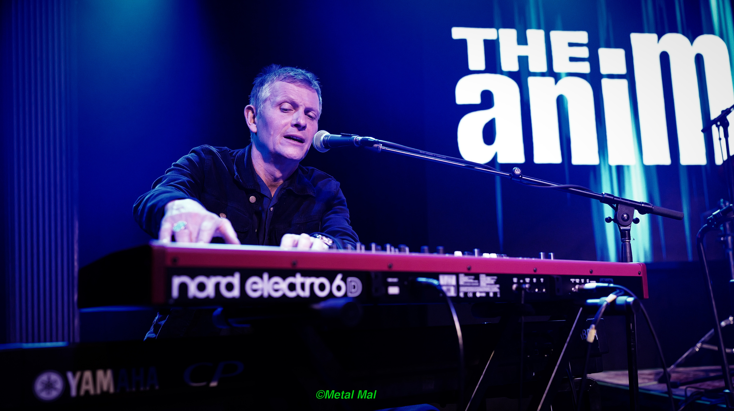 20240528 The Animals 16