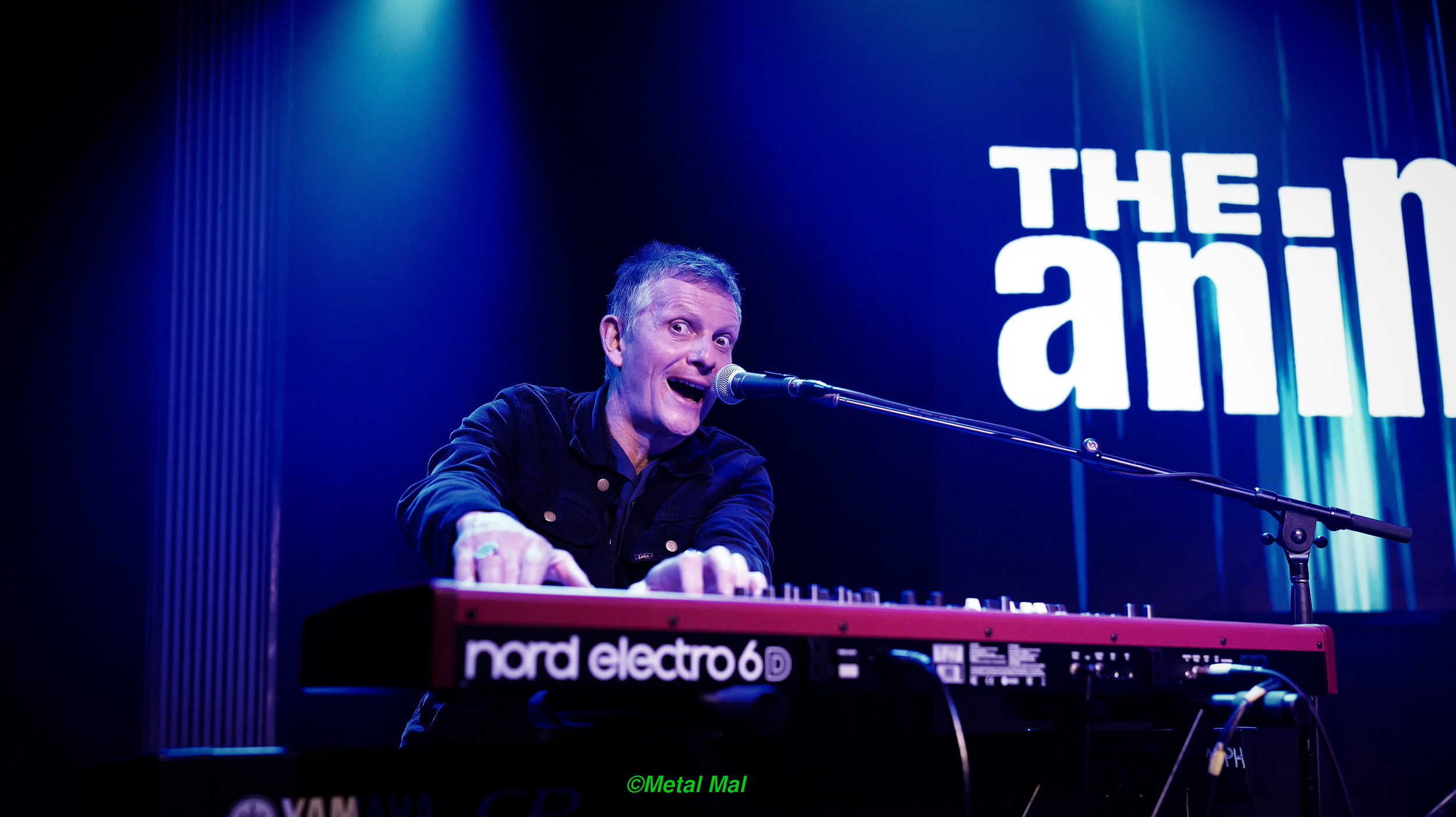 20240528 The Animals 17