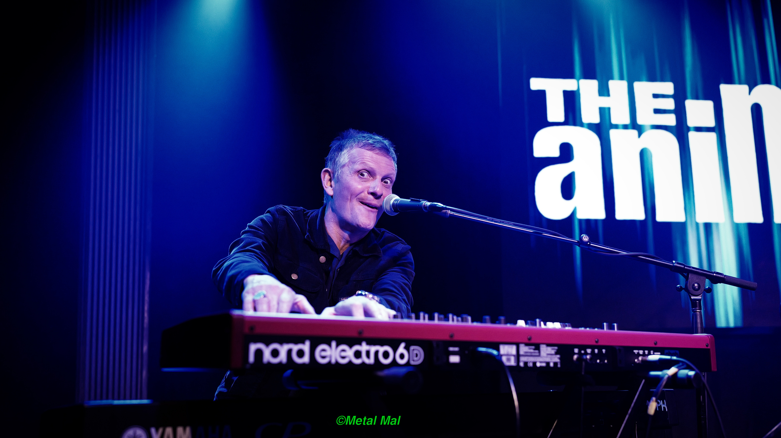 20240528 The Animals 18