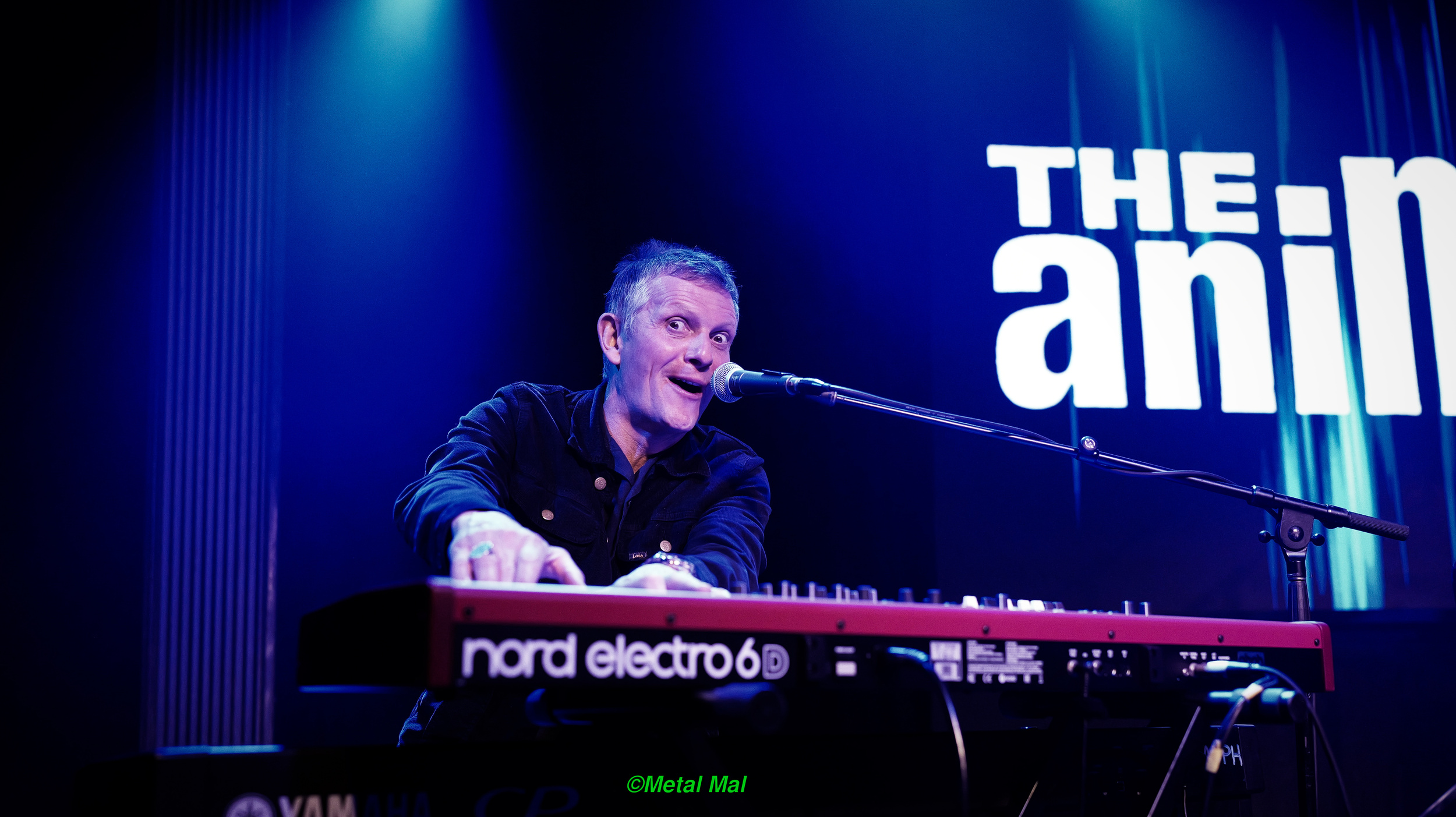 20240528 The Animals 19