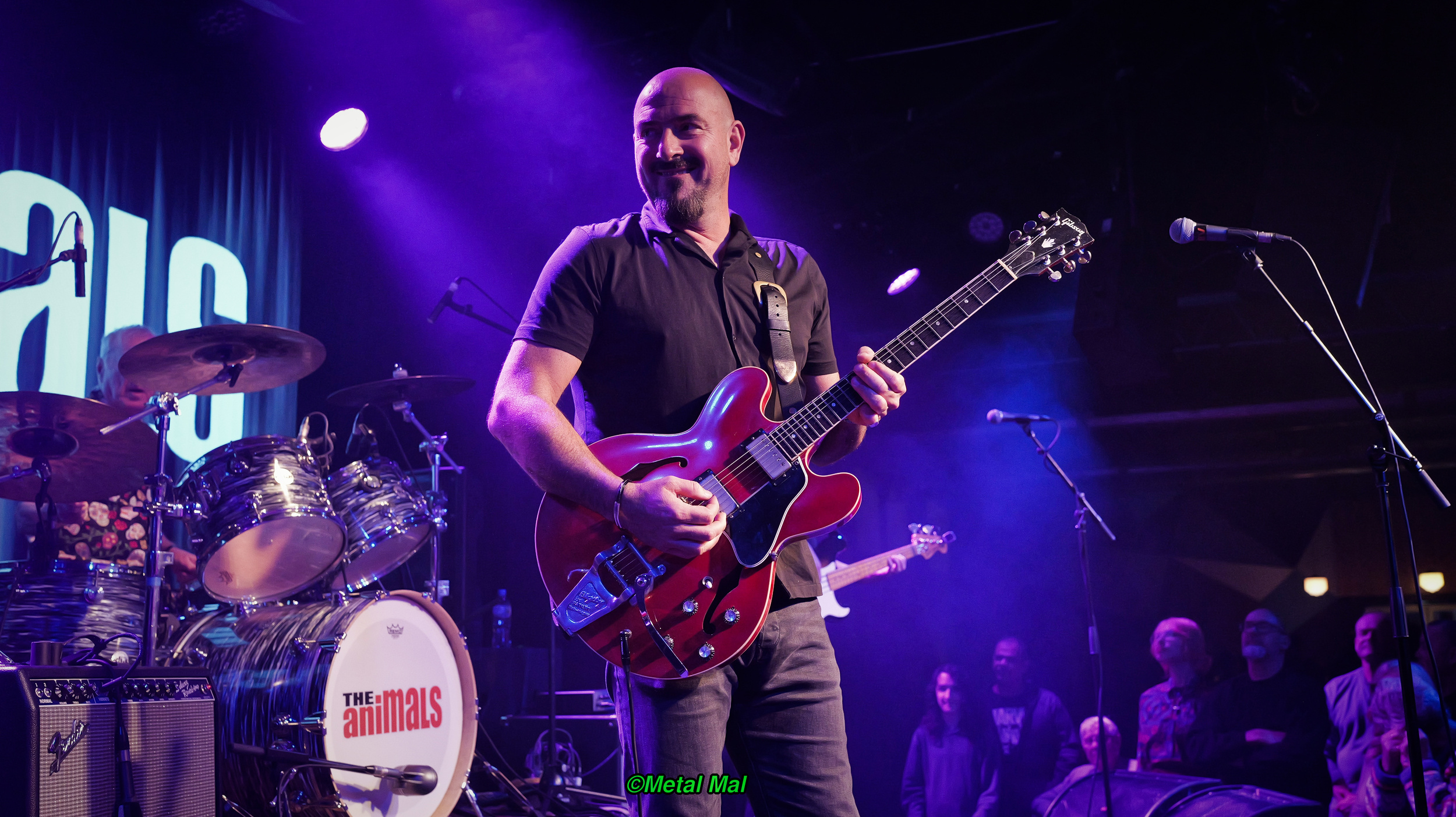 20240528 The Animals 20