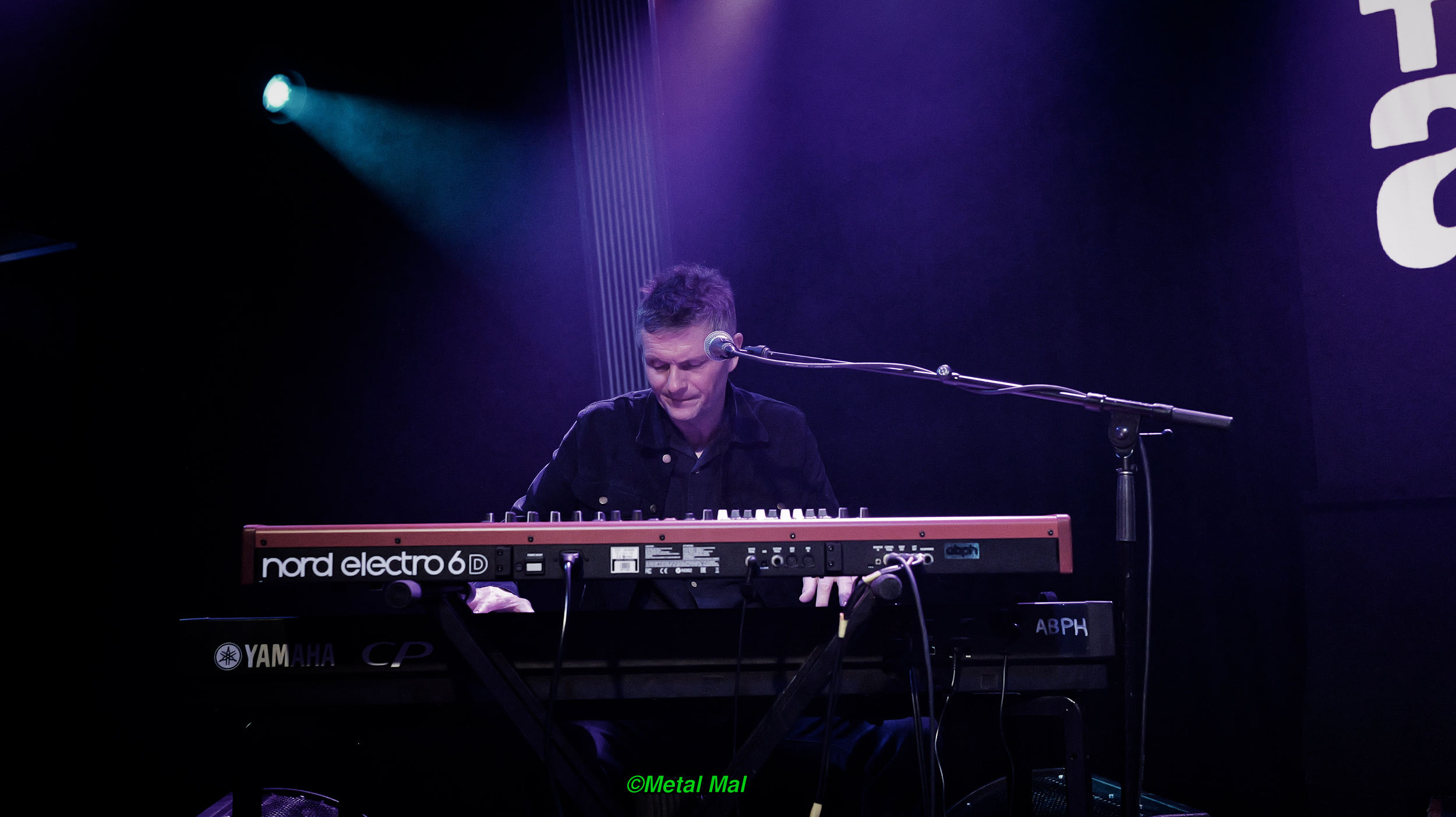 20240528 The Animals 21