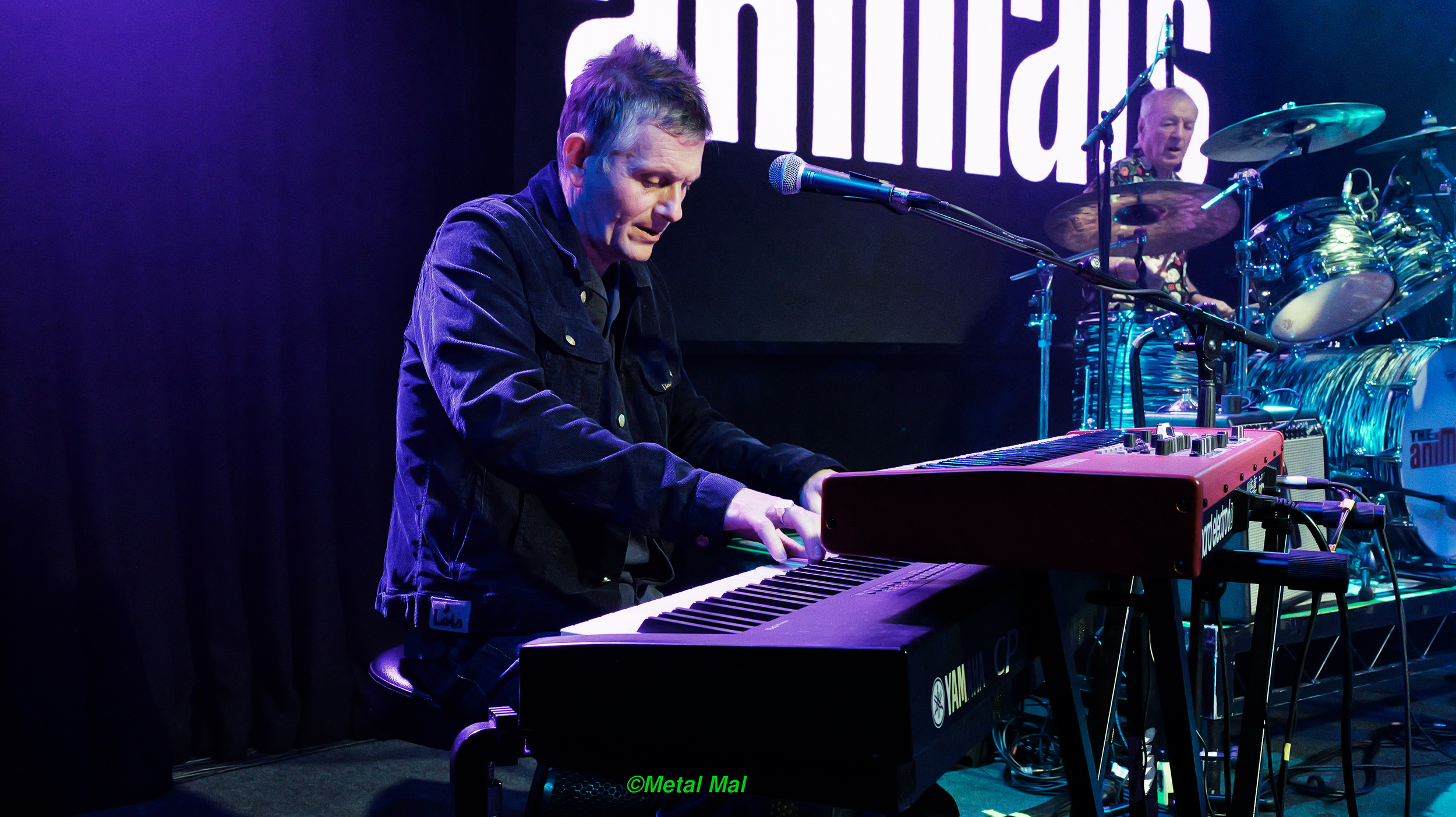 20240528 The Animals 24