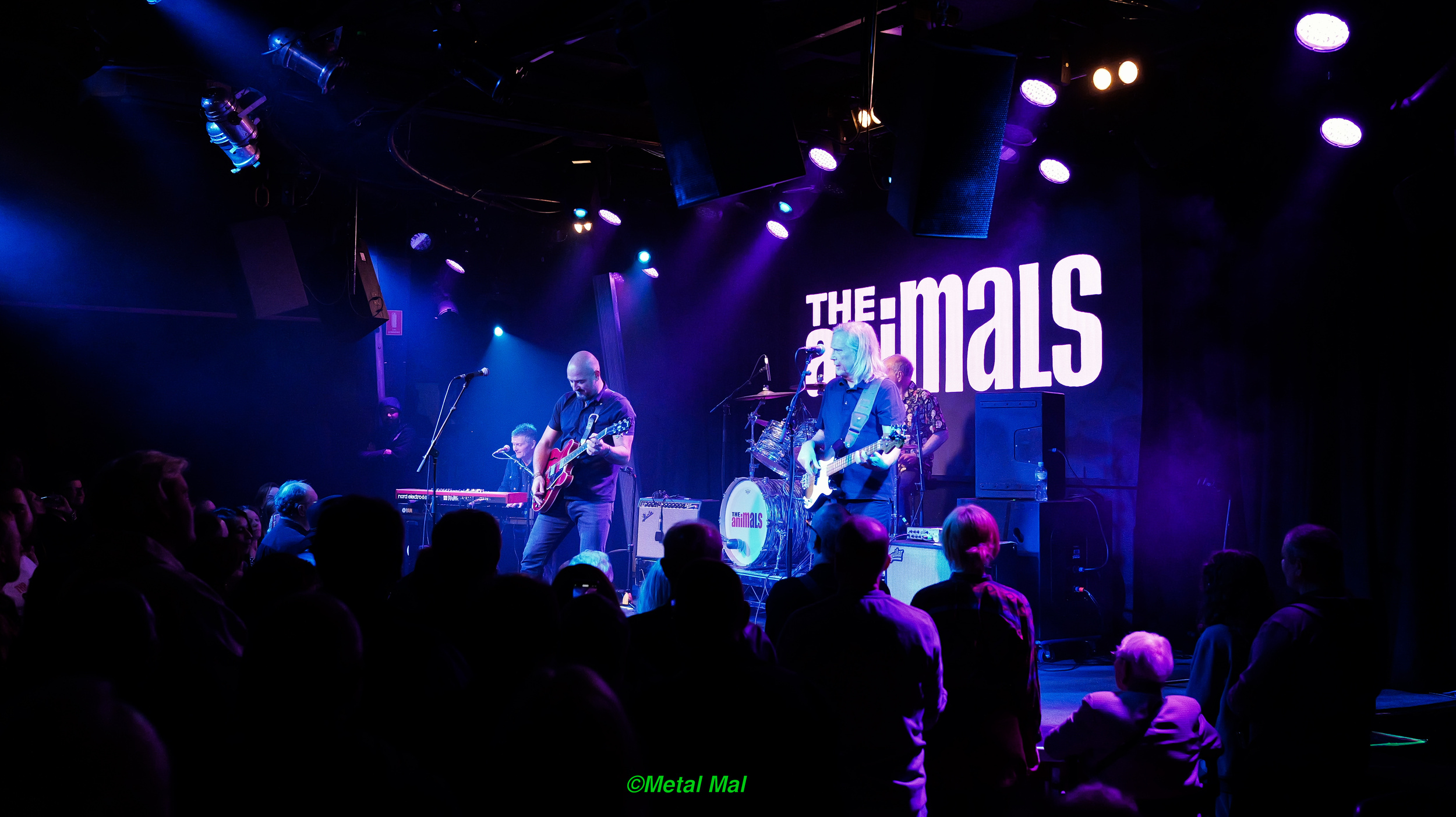 20240528 The Animals 25