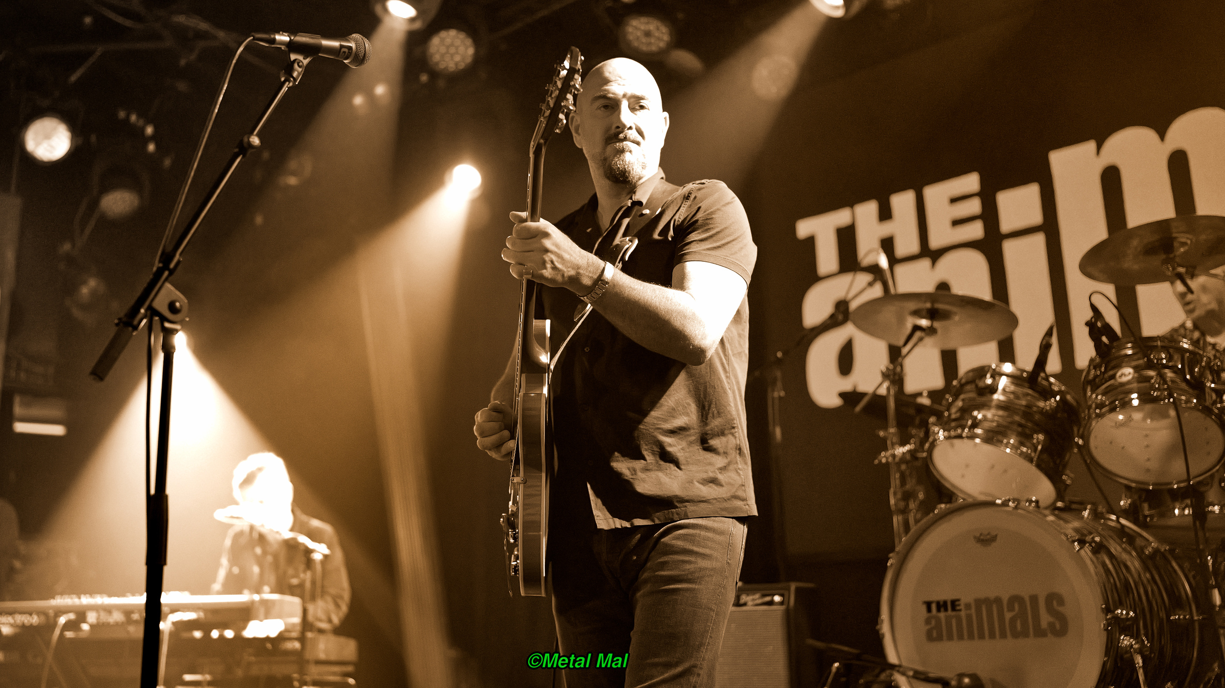 20240528 The Animals 27