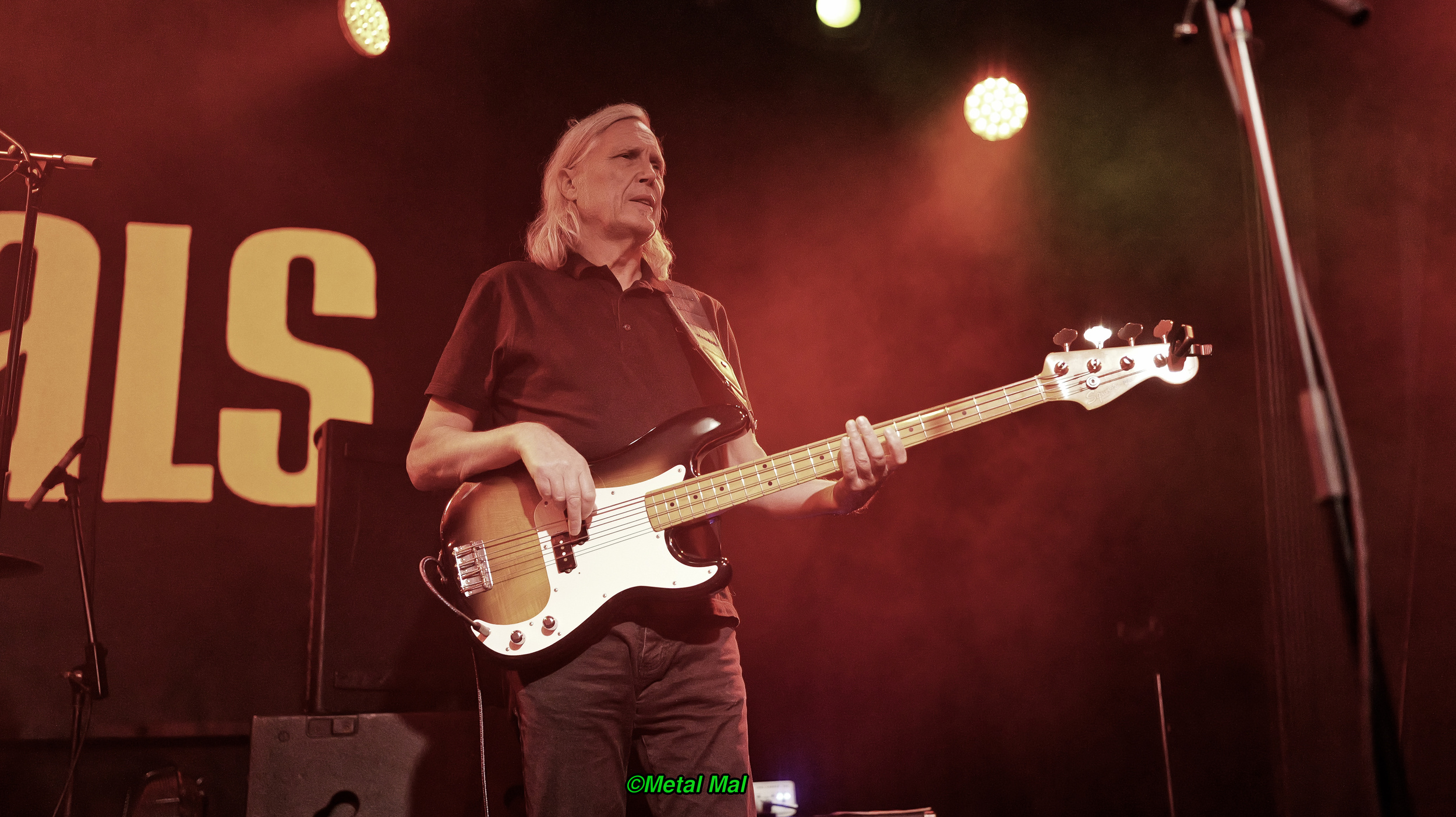 20240528 The Animals 29