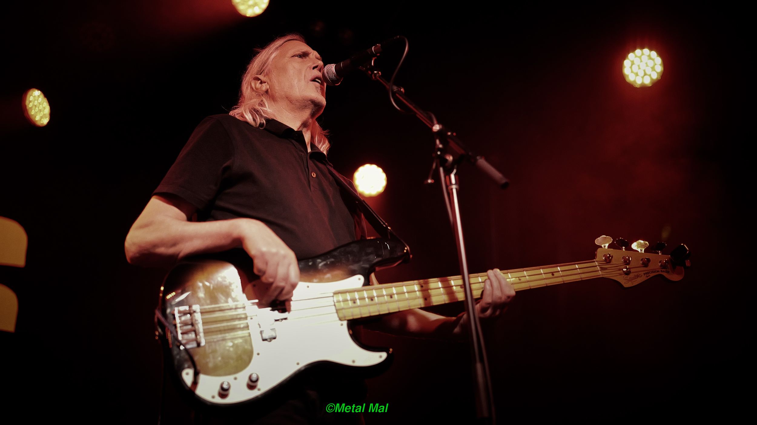 20240528 The Animals 30