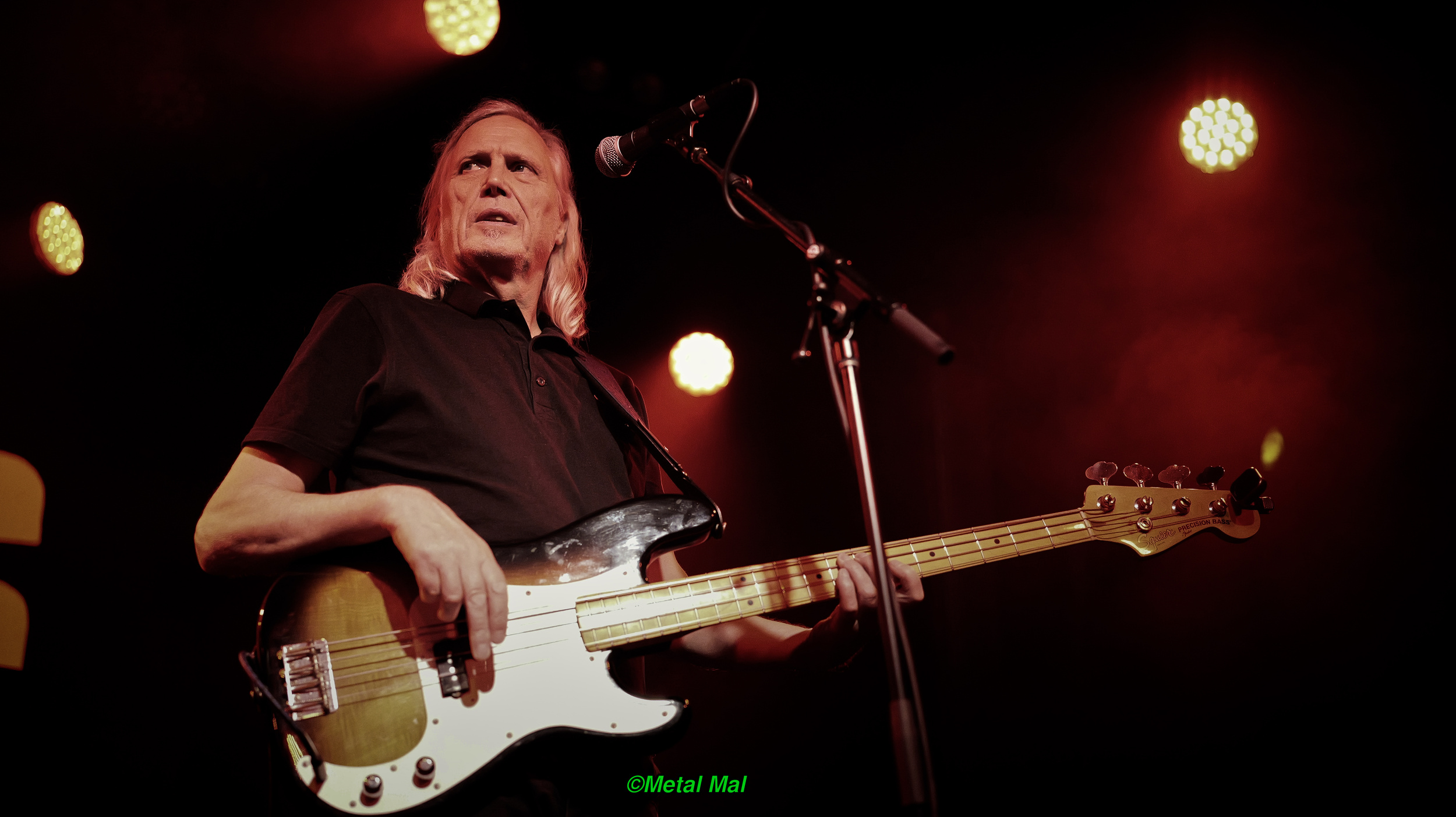 20240528 The Animals 31