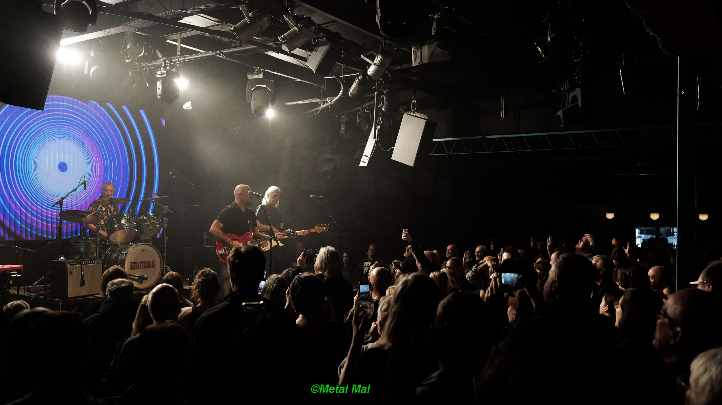 20240528 The Animals 33