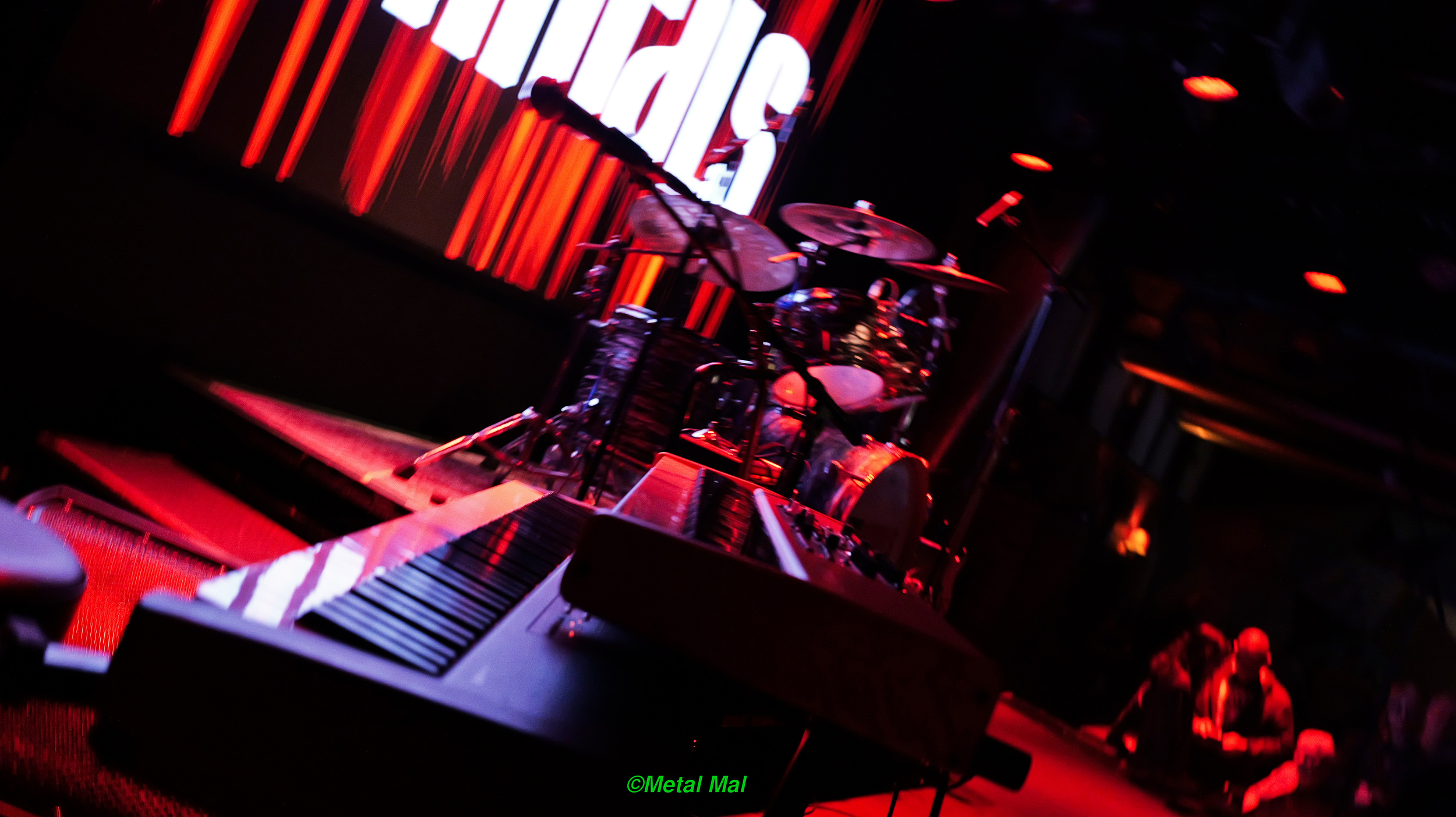 20240528 The Animals 36