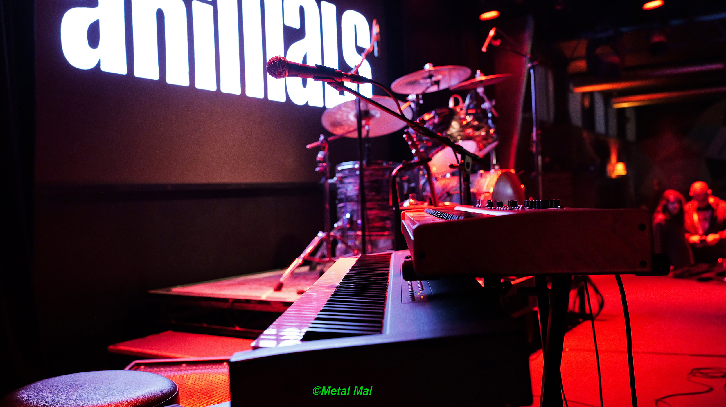 20240528 The Animals 38