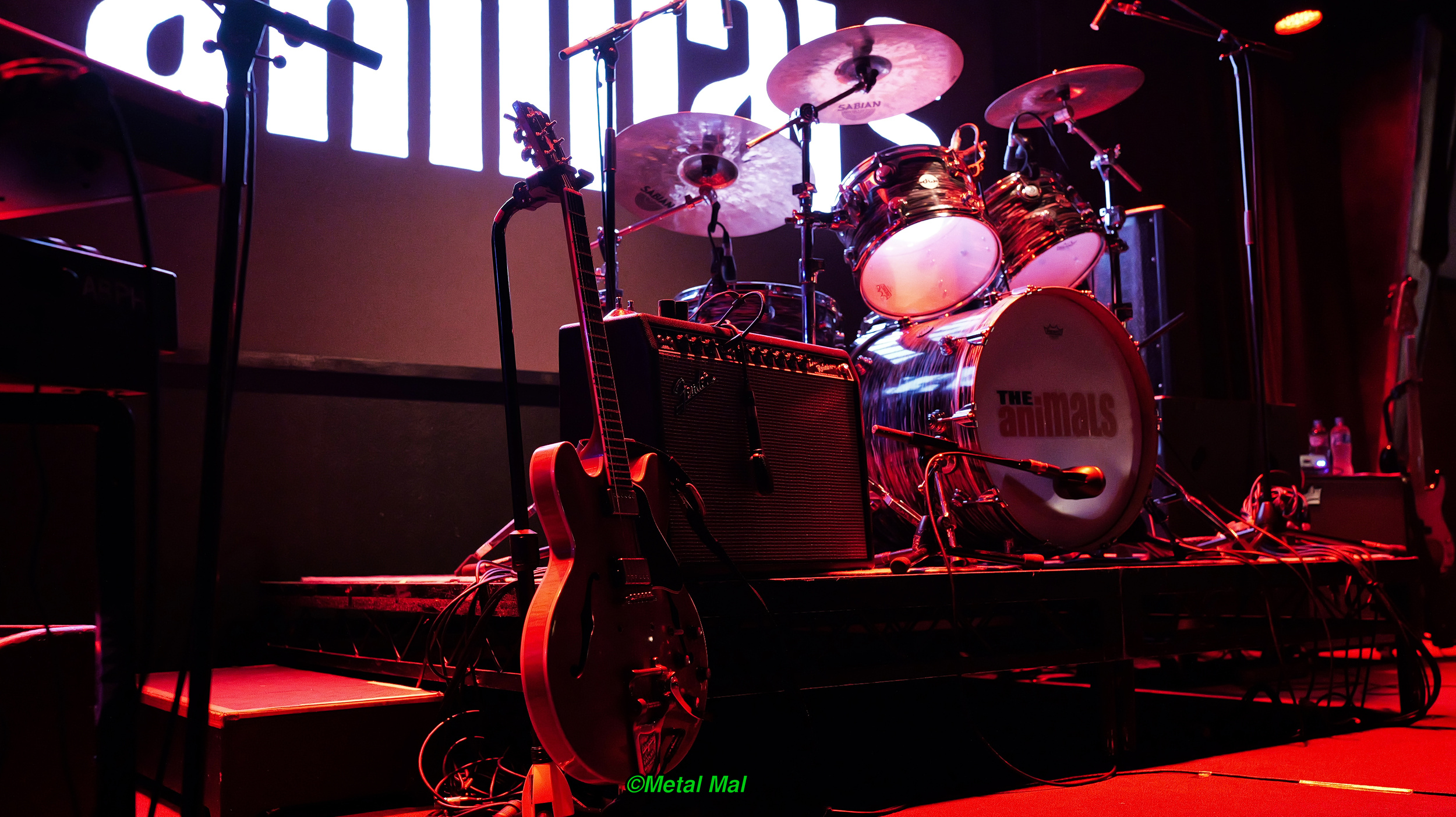 20240528 The Animals 39