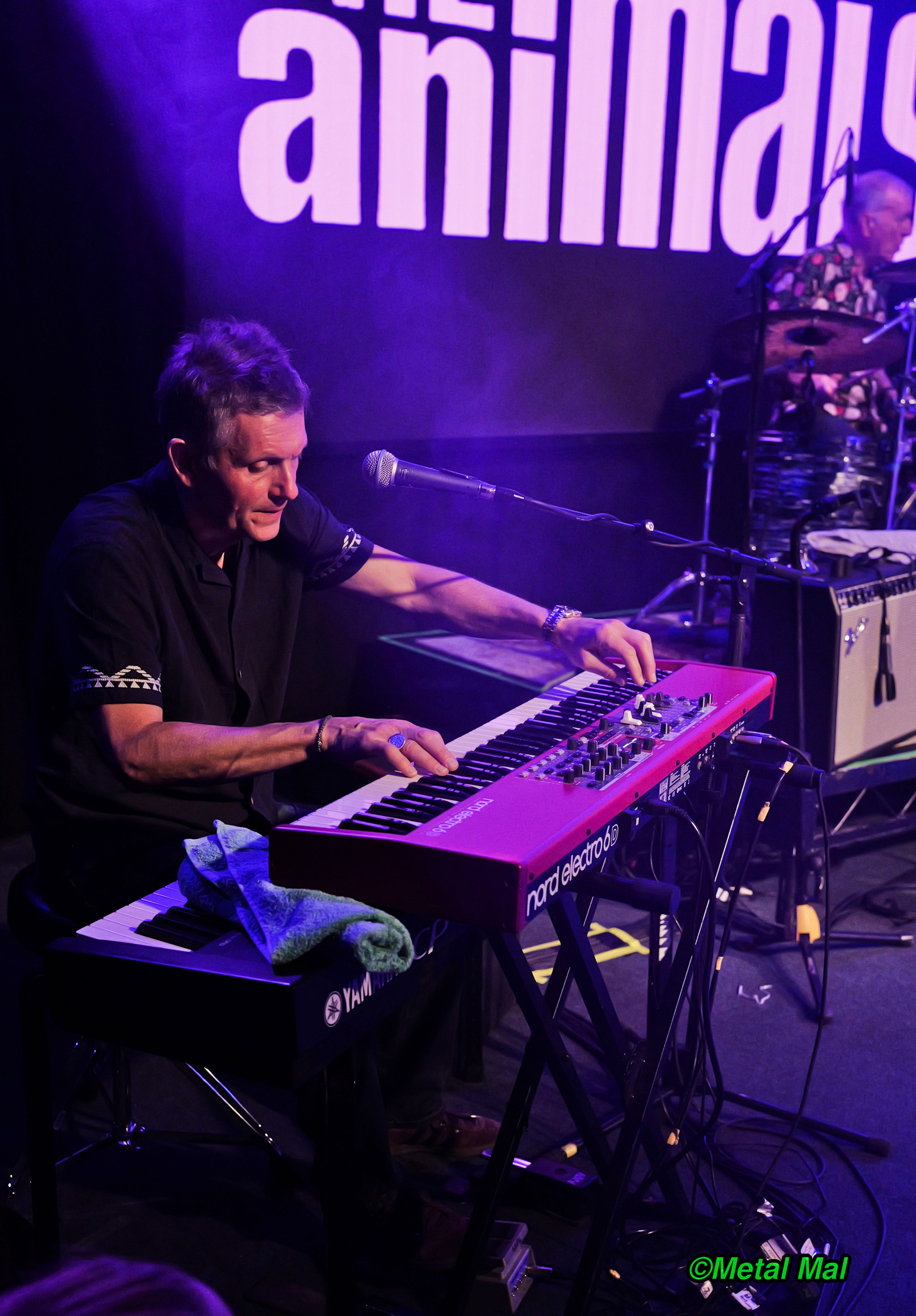 20240528 The Animals 42