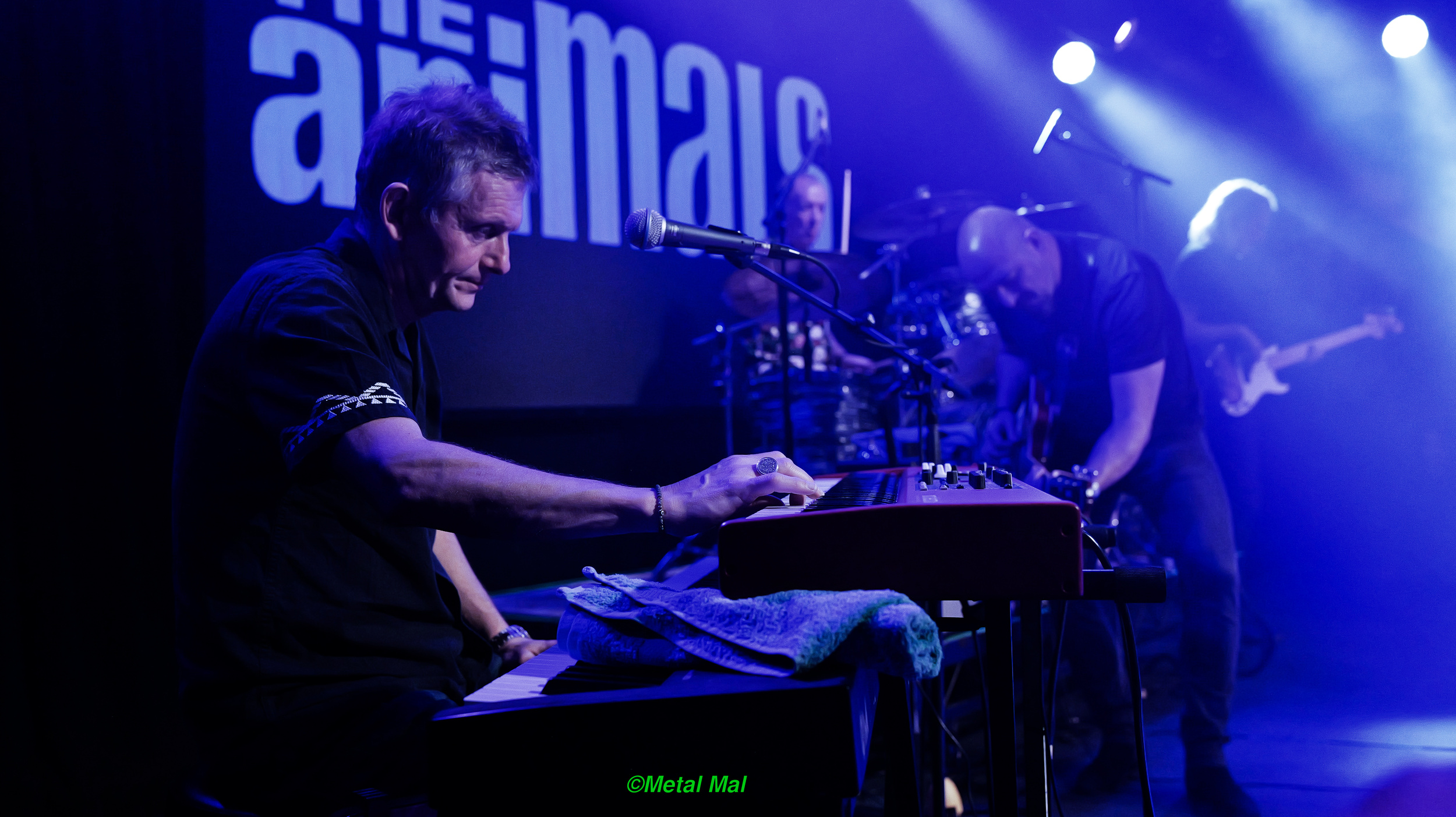 20240528 The Animals 43