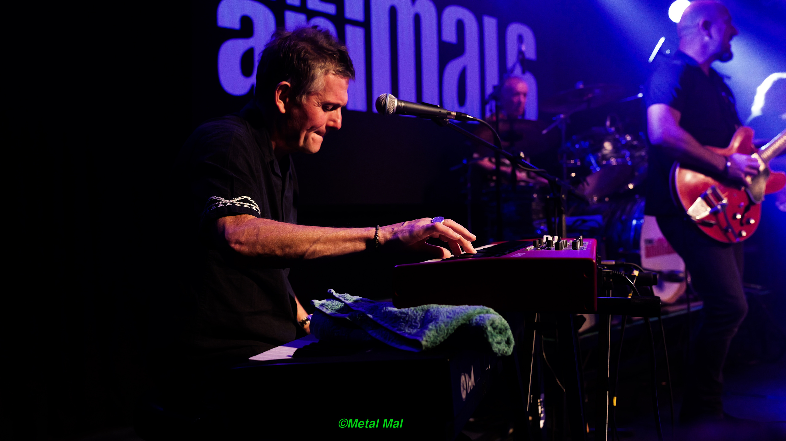 20240528 The Animals 44