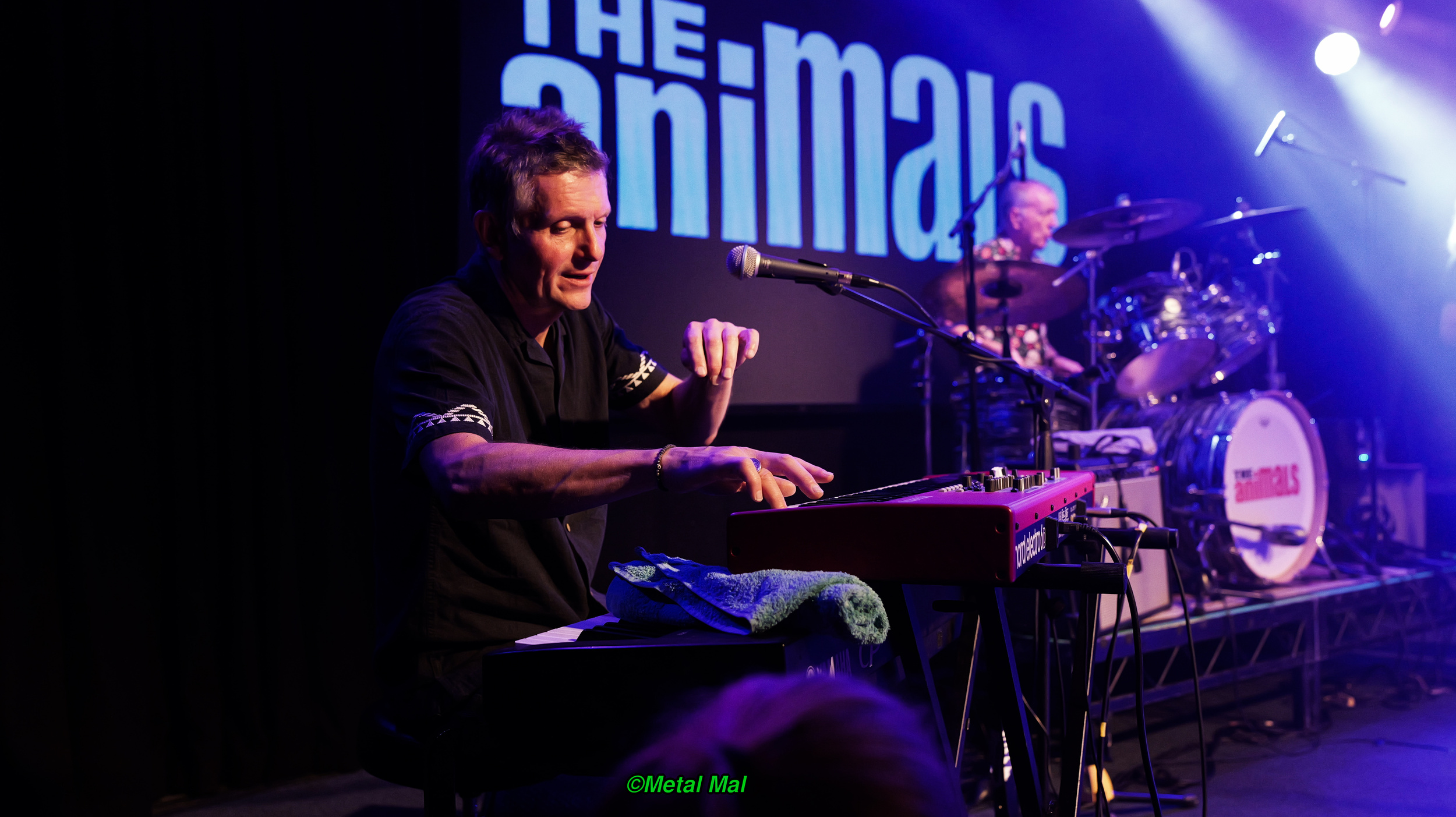 20240528 The Animals 45