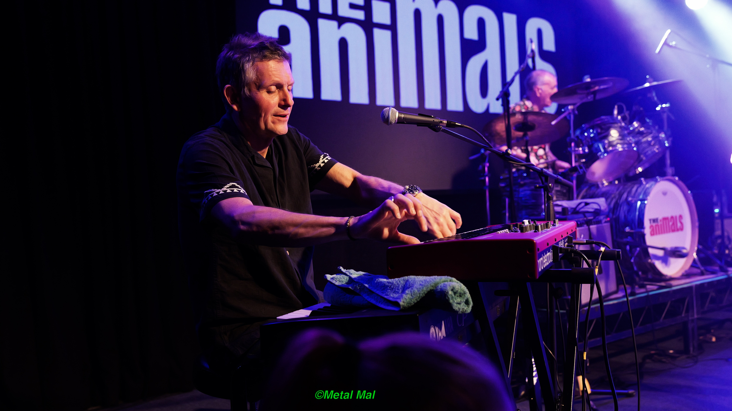 20240528 The Animals 46