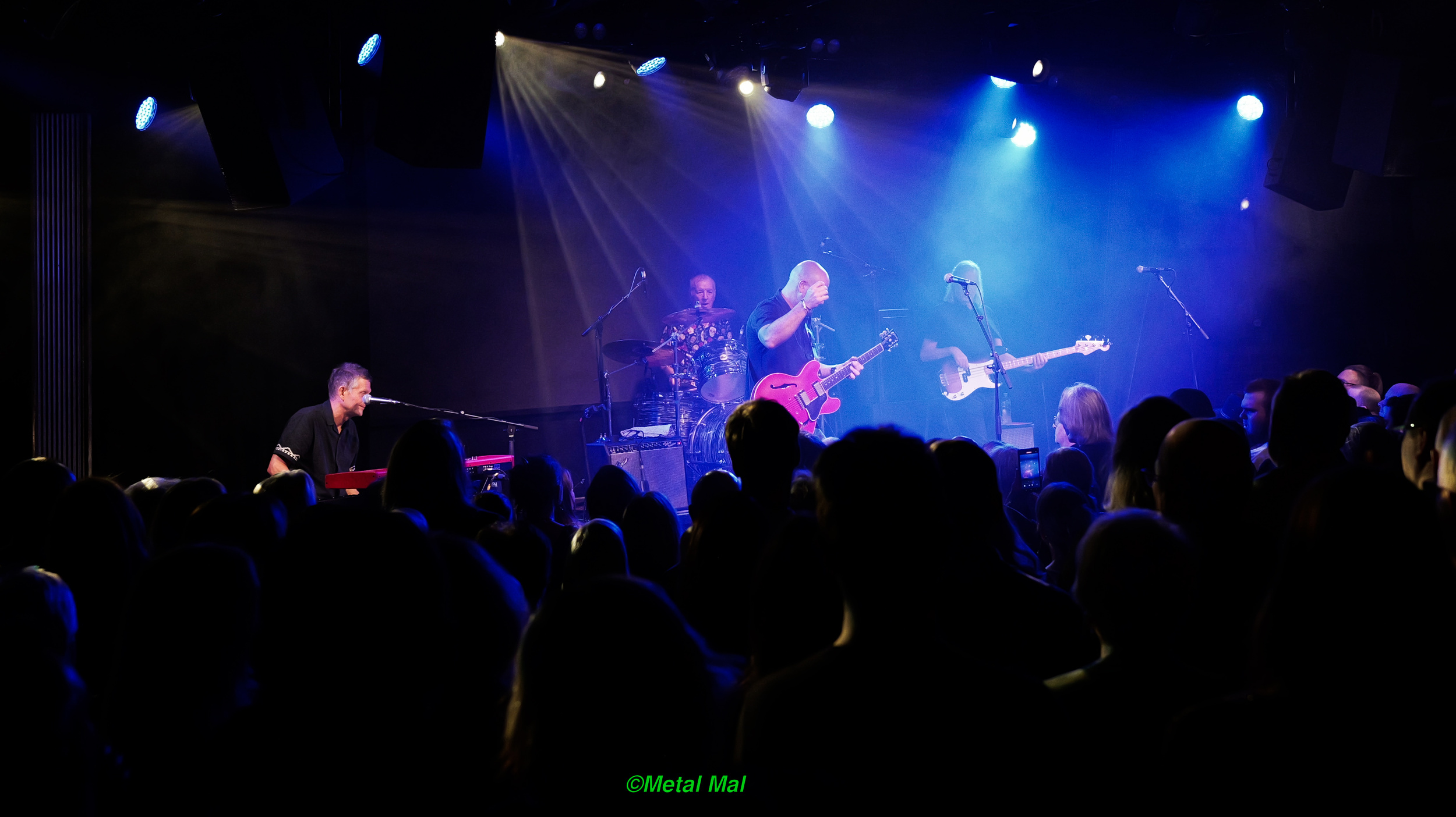 20240528 The Animals 47