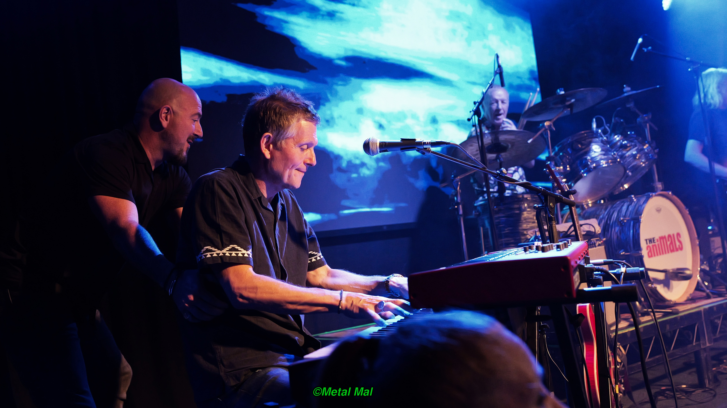 20240528 The Animals 49