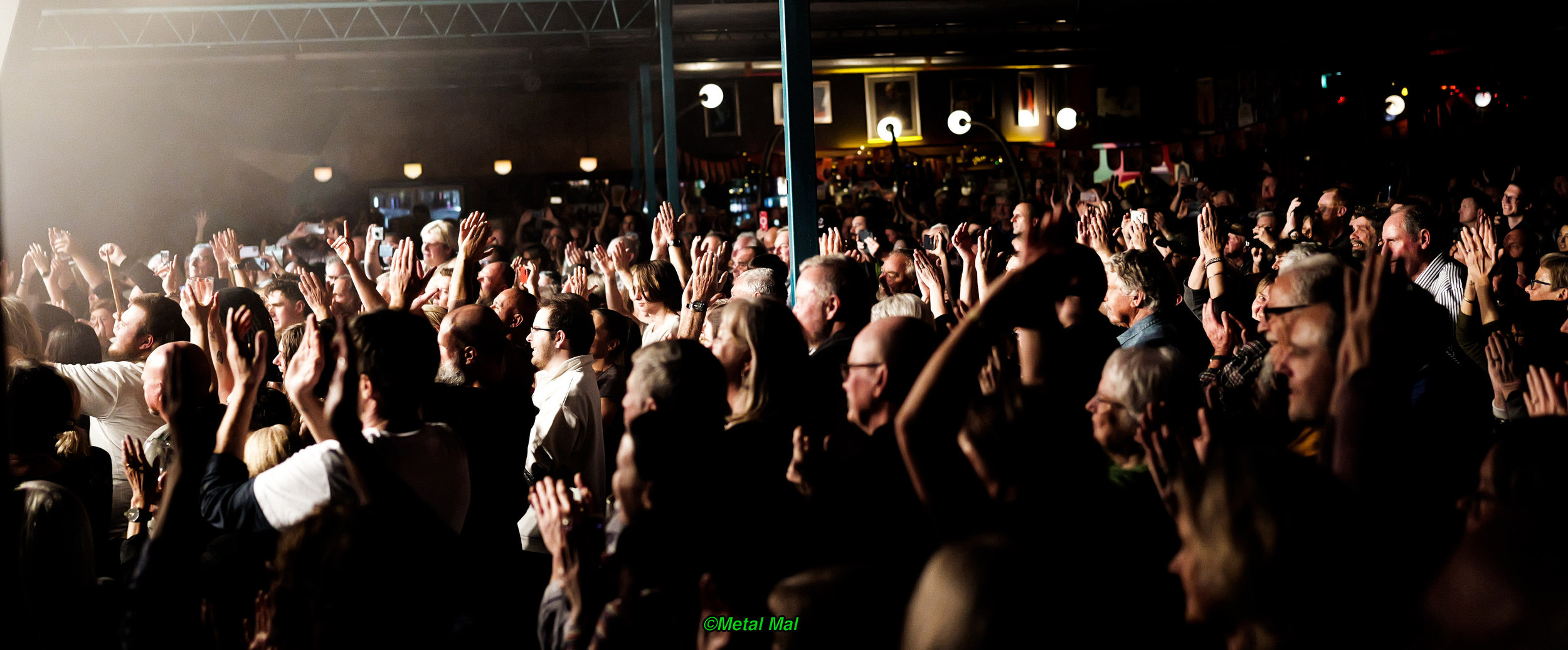 20240528 The Animals 53