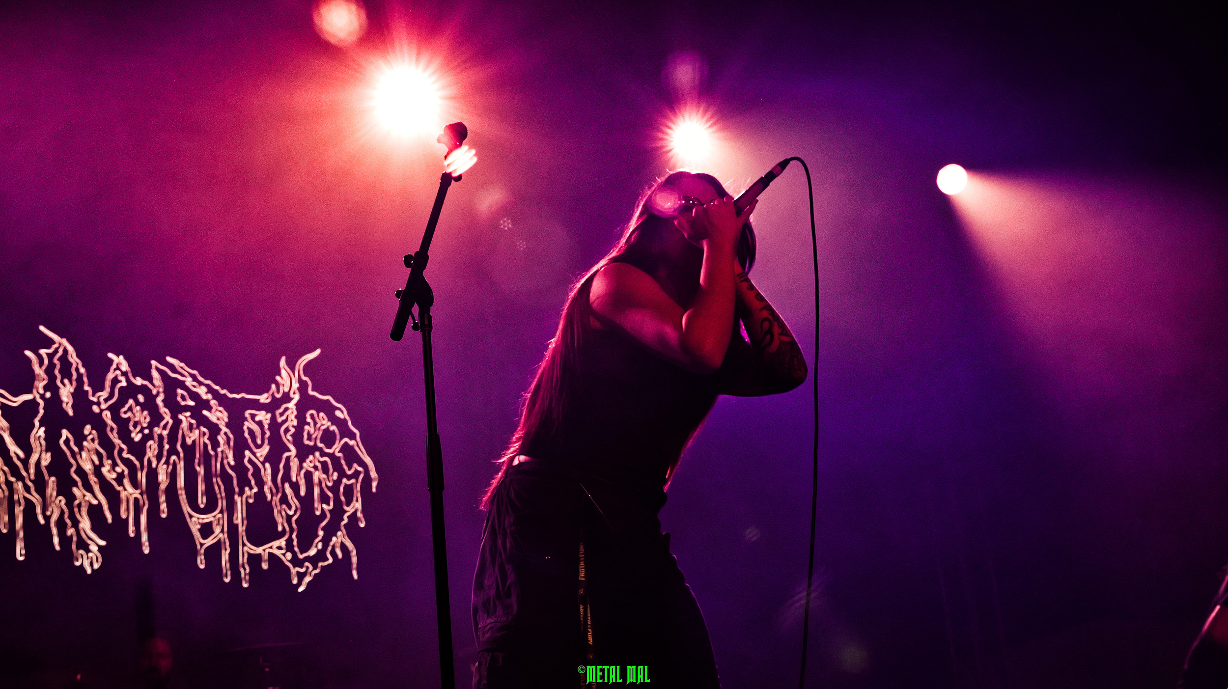 20260131 12 Algor Mortis 11
